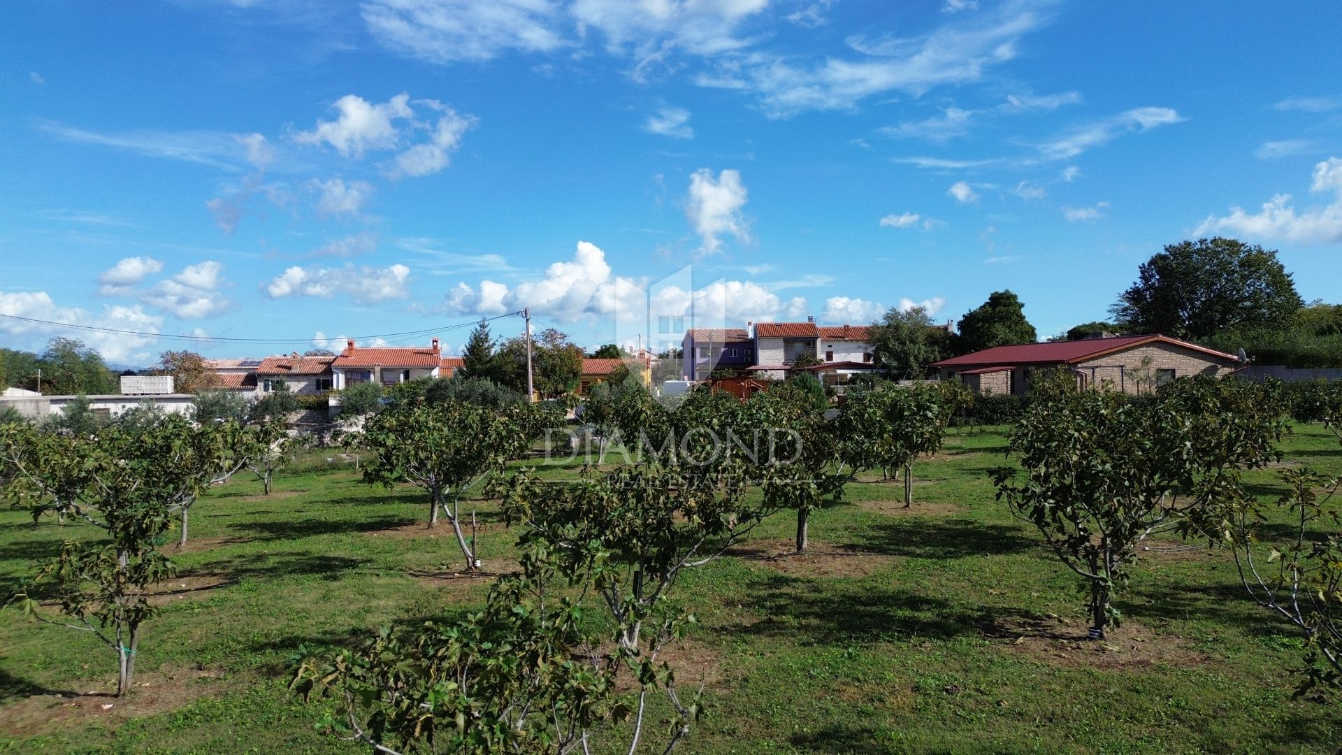 Tanah di Marčana, Istria County 12312326