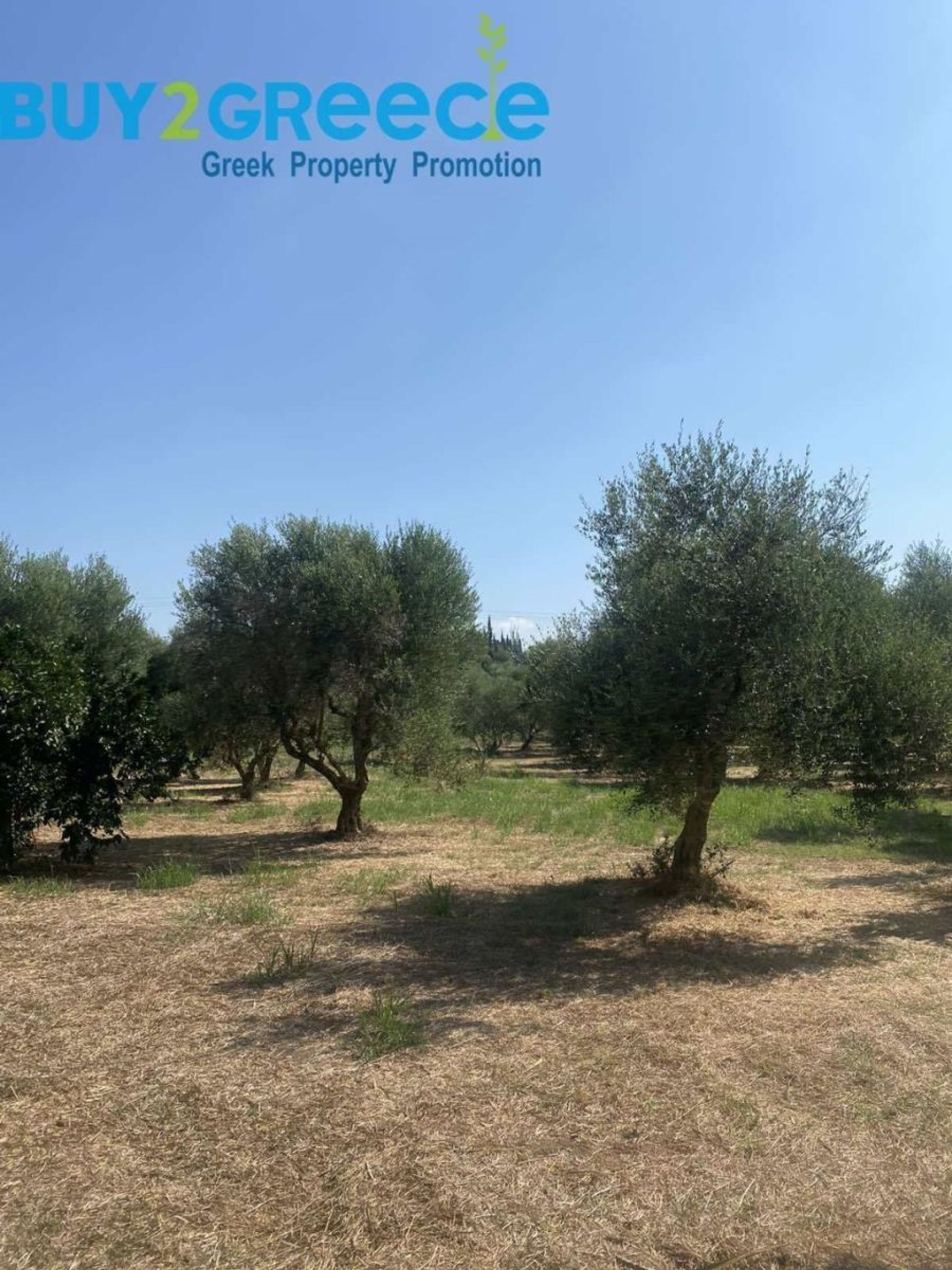 Land i Messini, Peloponnisos 12313362