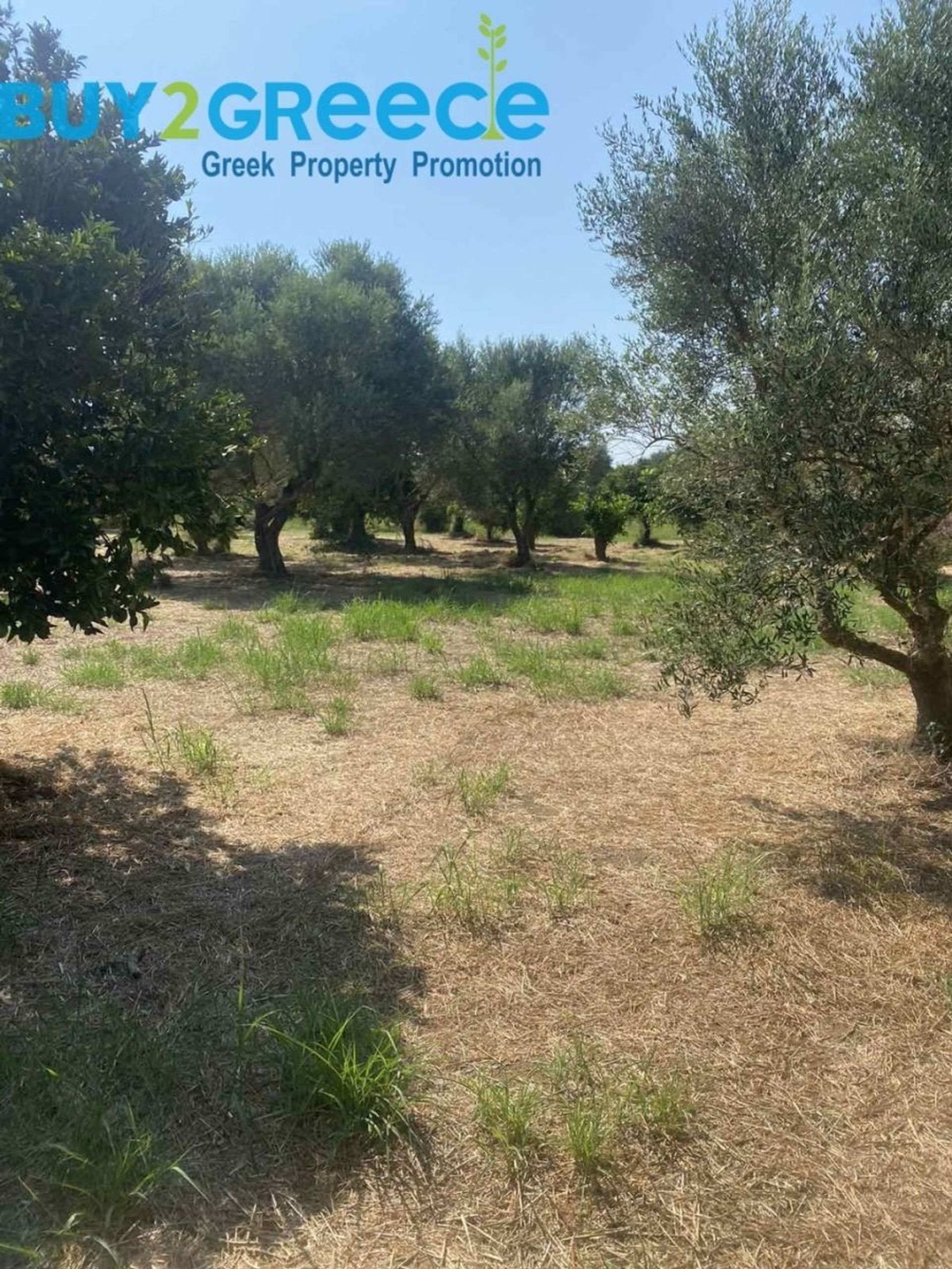 Land i Messini, Peloponnisos 12313362