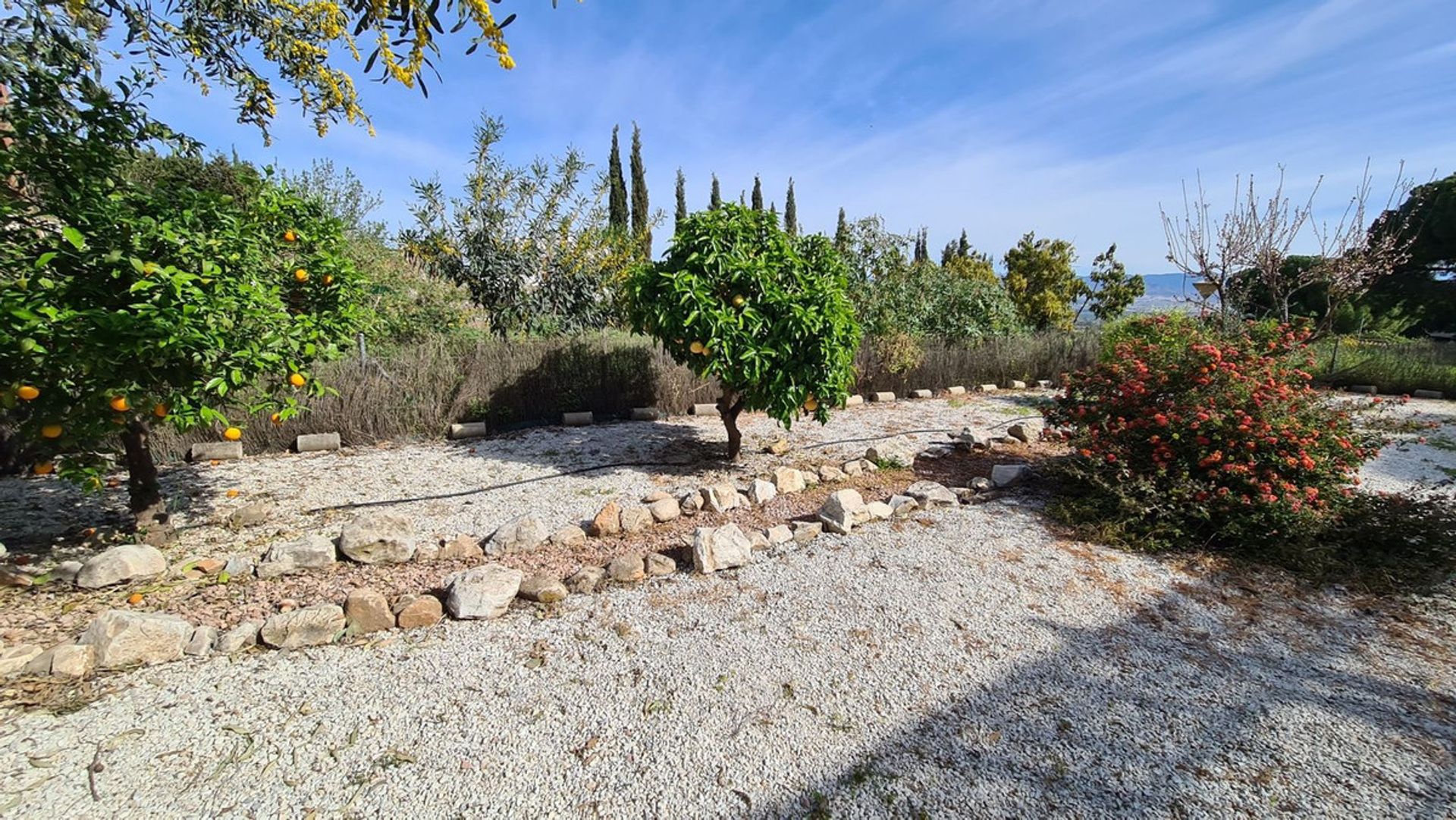 casa en Alhaurín de la Torre, Andalusia 12313454