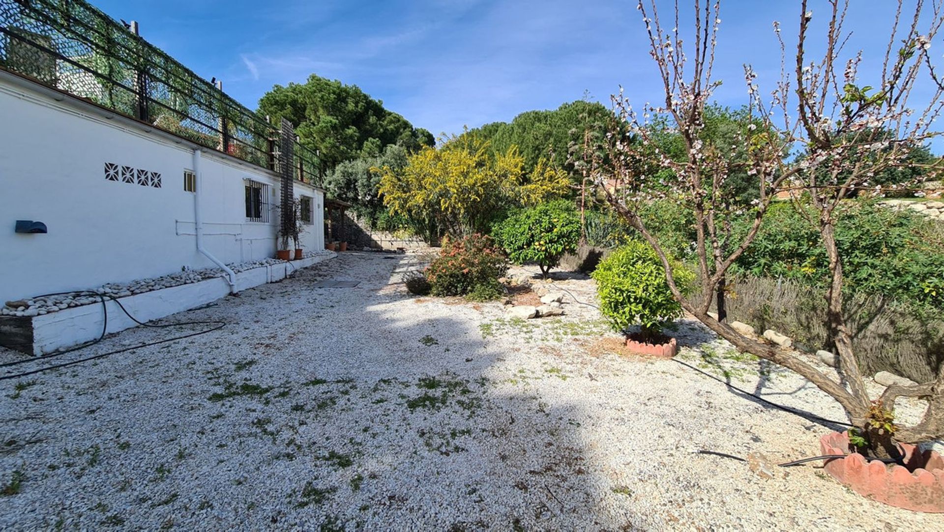 casa en Alhaurín de la Torre, Andalusia 12313454