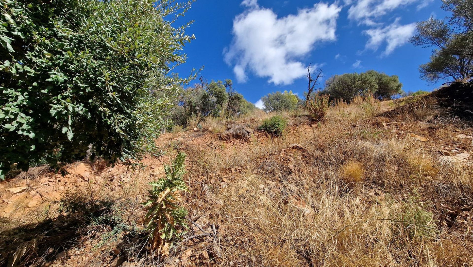 Land im Espinosa de los Monteros, Kastilien-León 12313465