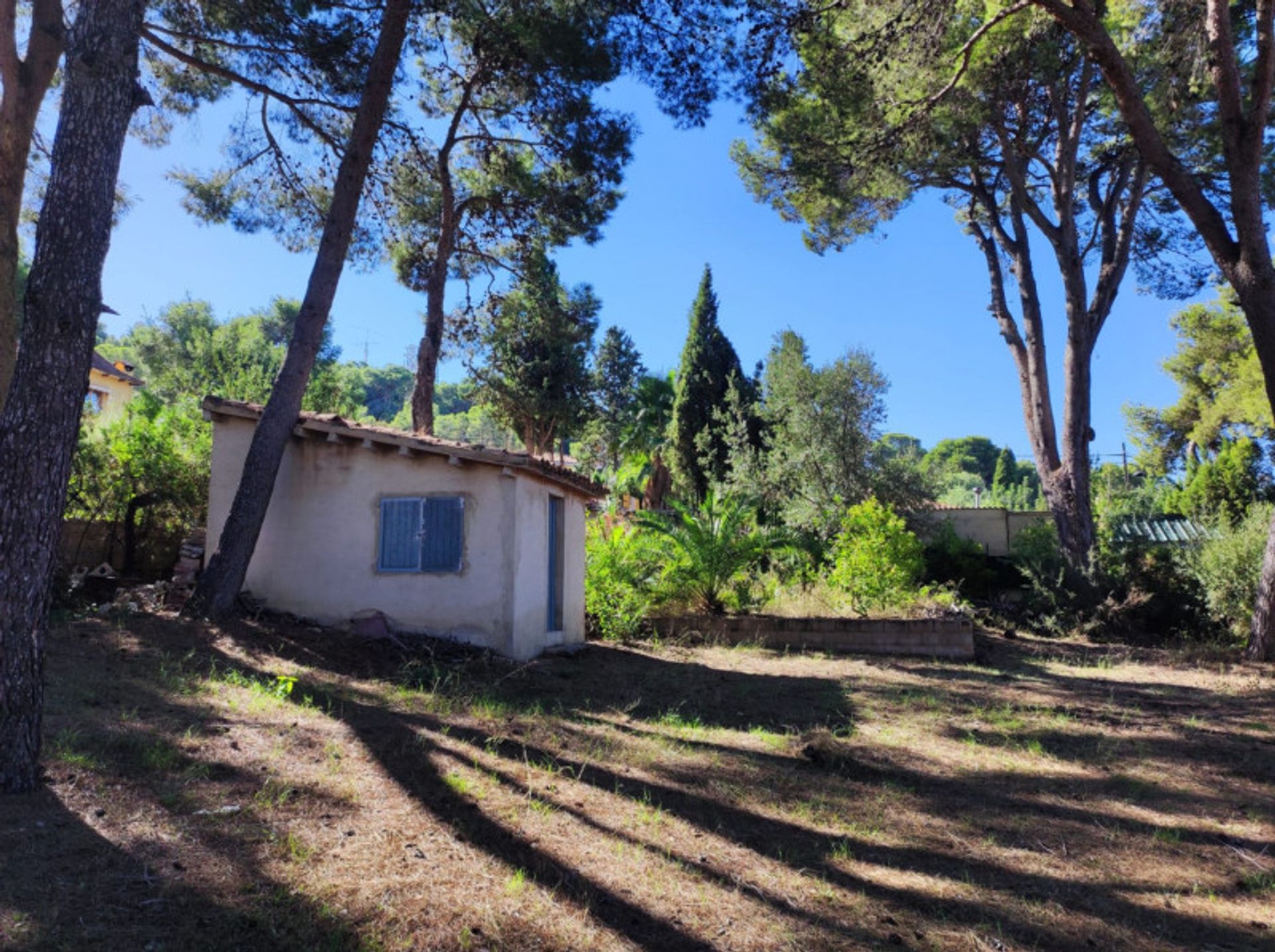 Otro en Masía del Juez, Valencia 12313704