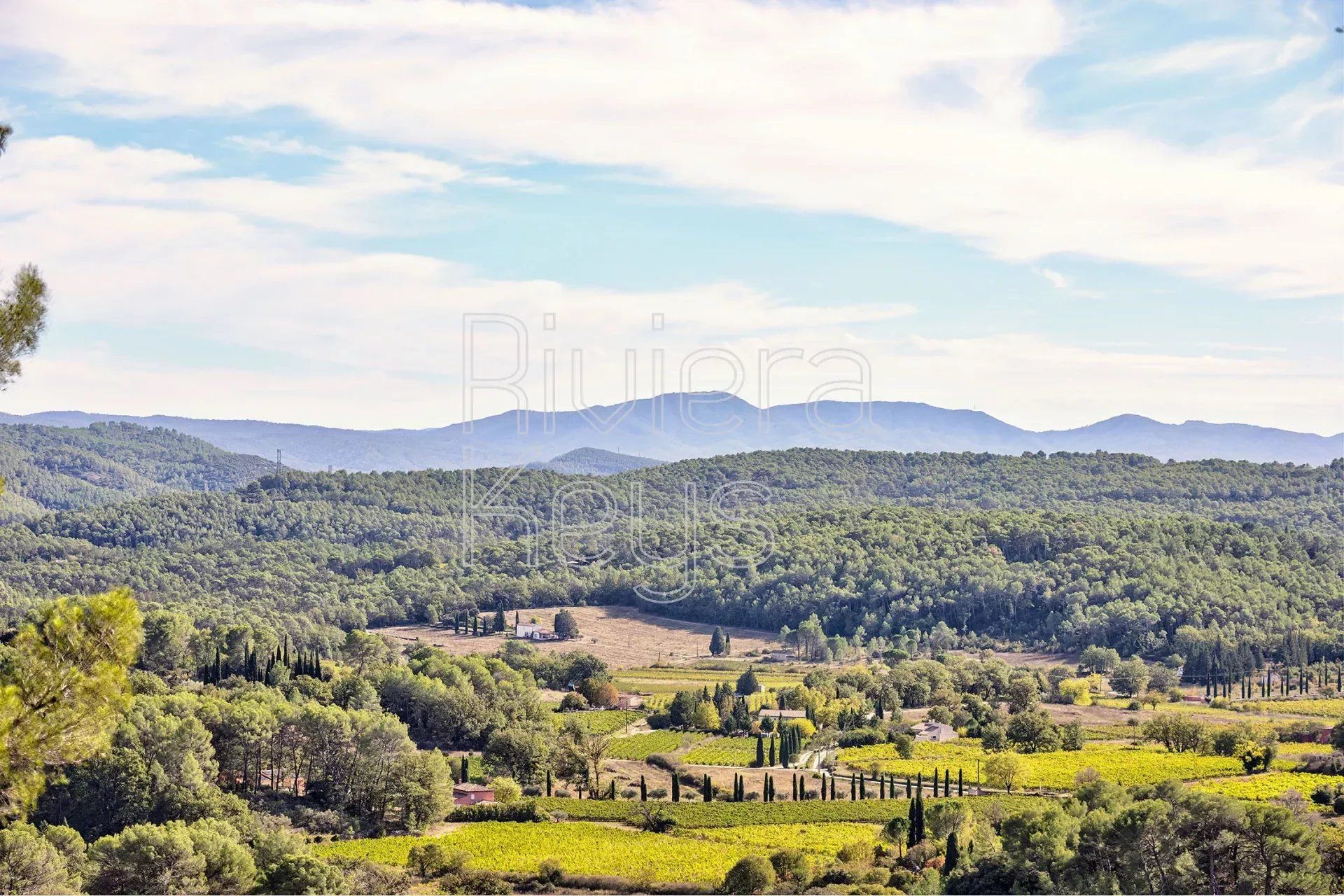 Casa nel Lorgues, Provenza-Alpi-Costa Azzurra 12313931