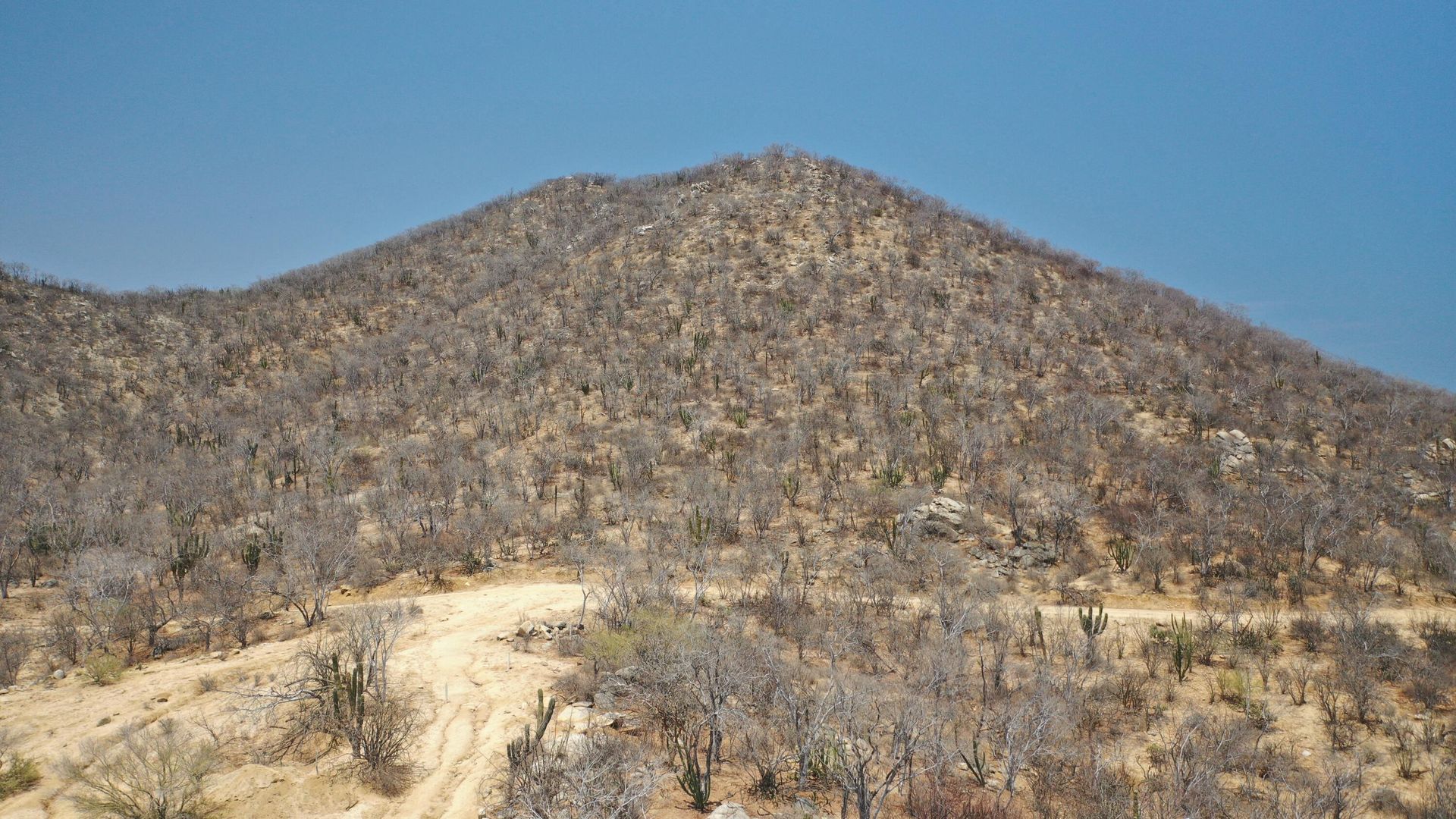 Terra no São José del Cabo, Baixa Califórnia Sul 12314033