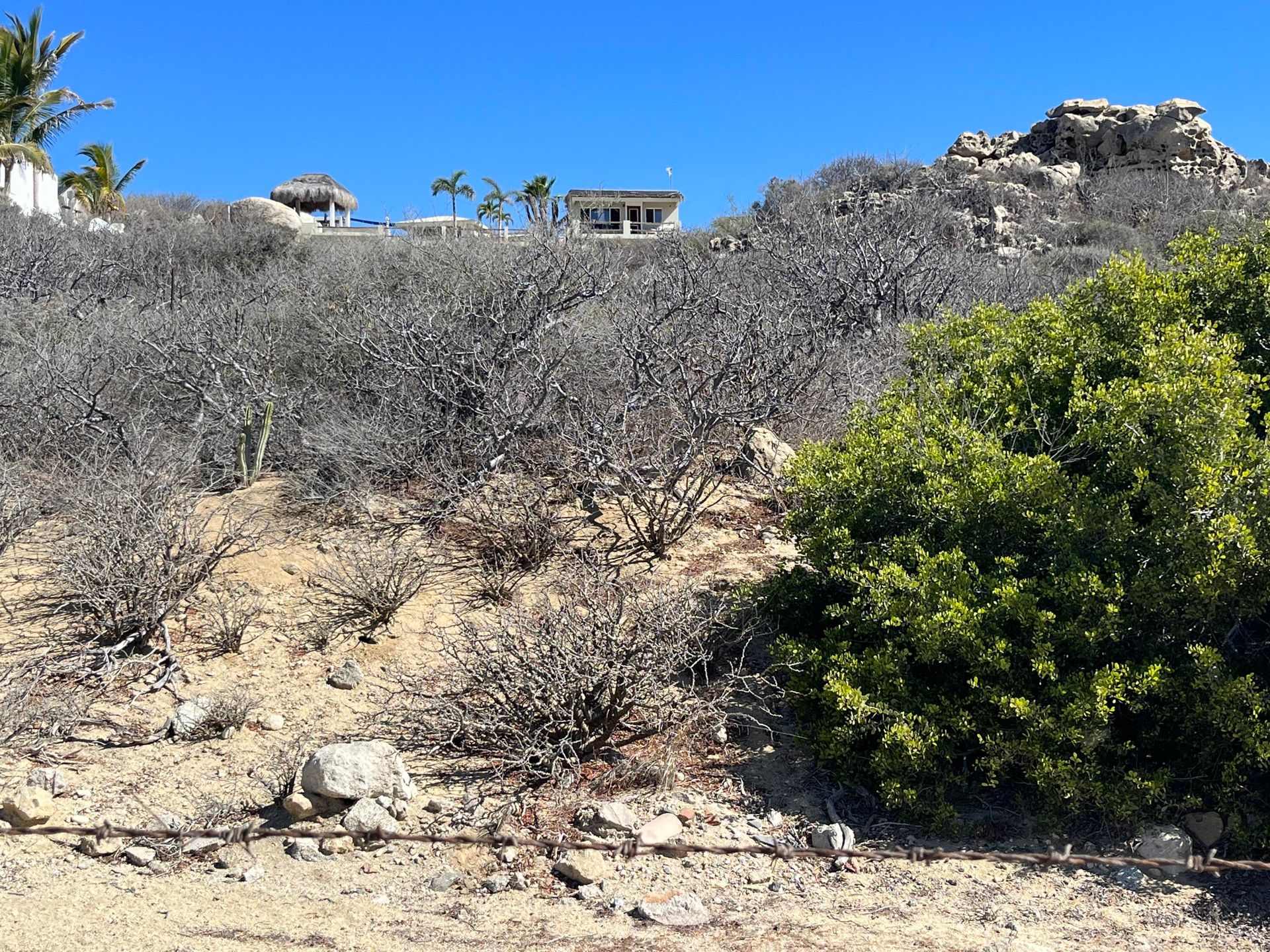 Jord i San Jose del Cabo, Baja California Sur 12314040