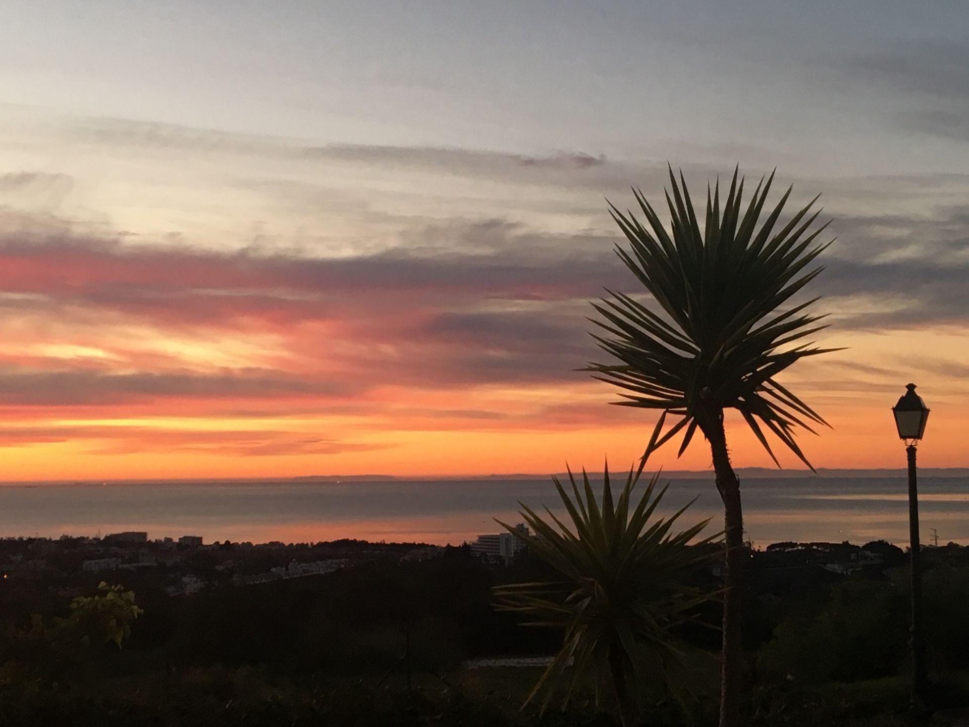 Borettslag i Benahavís, Andalucía 12314270