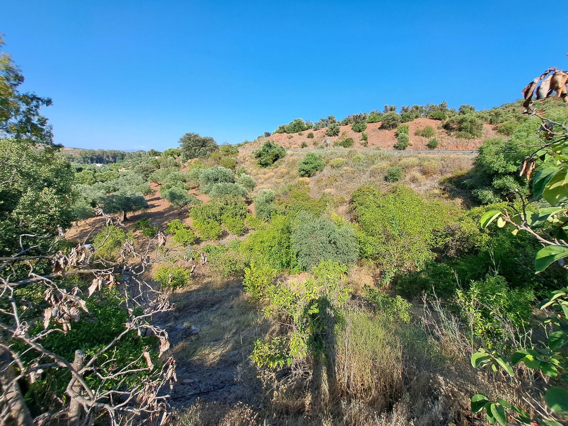 rumah dalam Coín, Andalusia 12315754