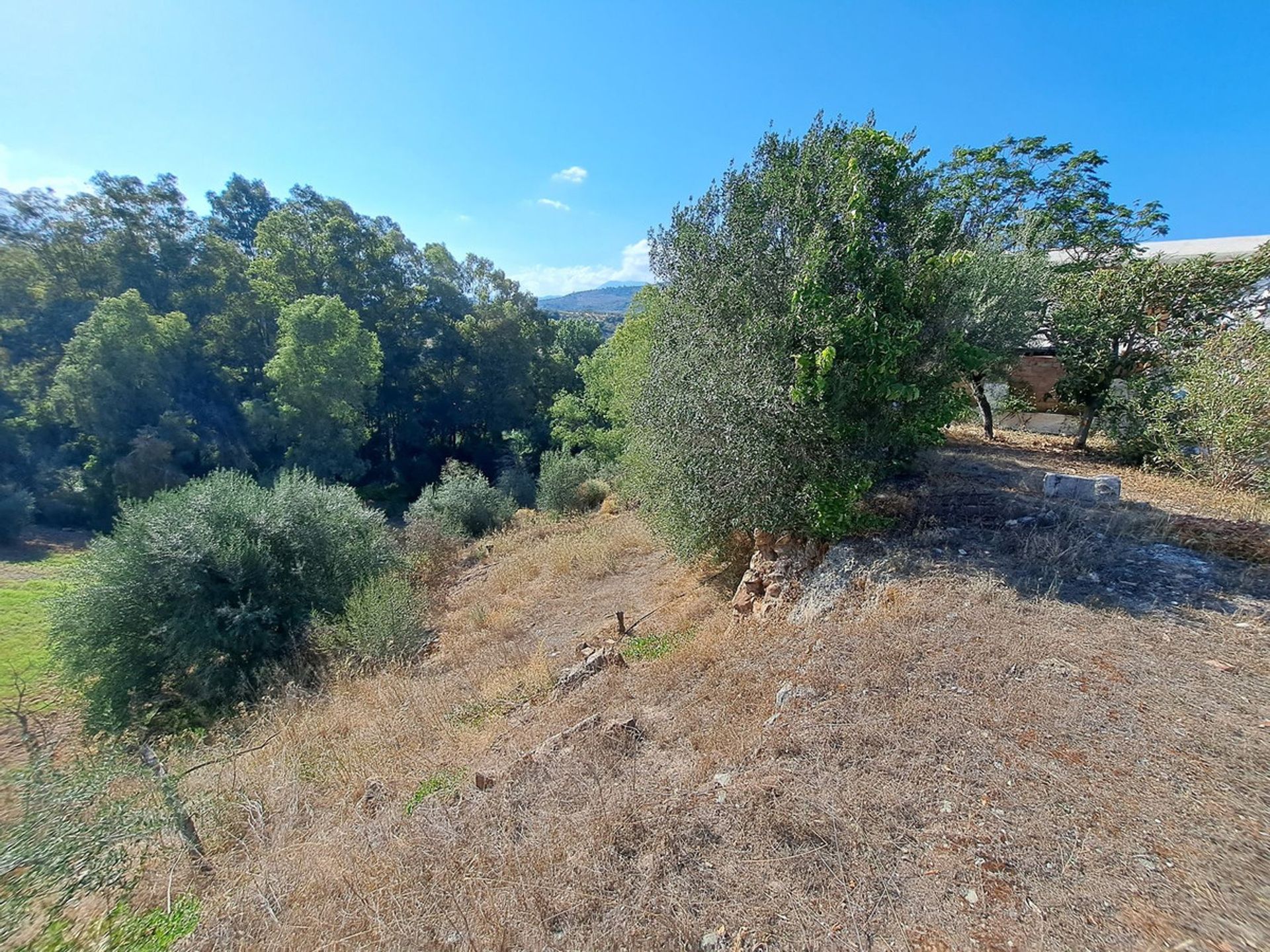 rumah dalam Coín, Andalusia 12315754