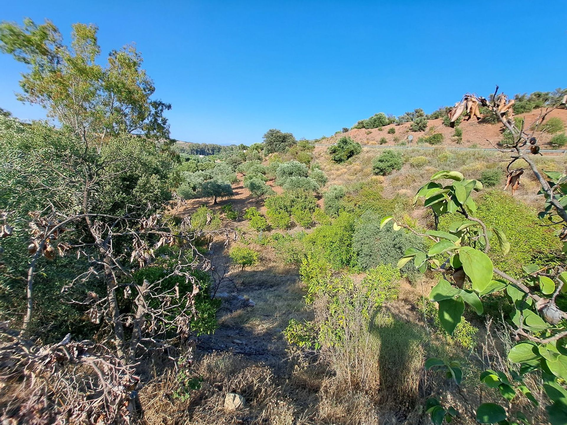 rumah dalam Coín, Andalusia 12315754