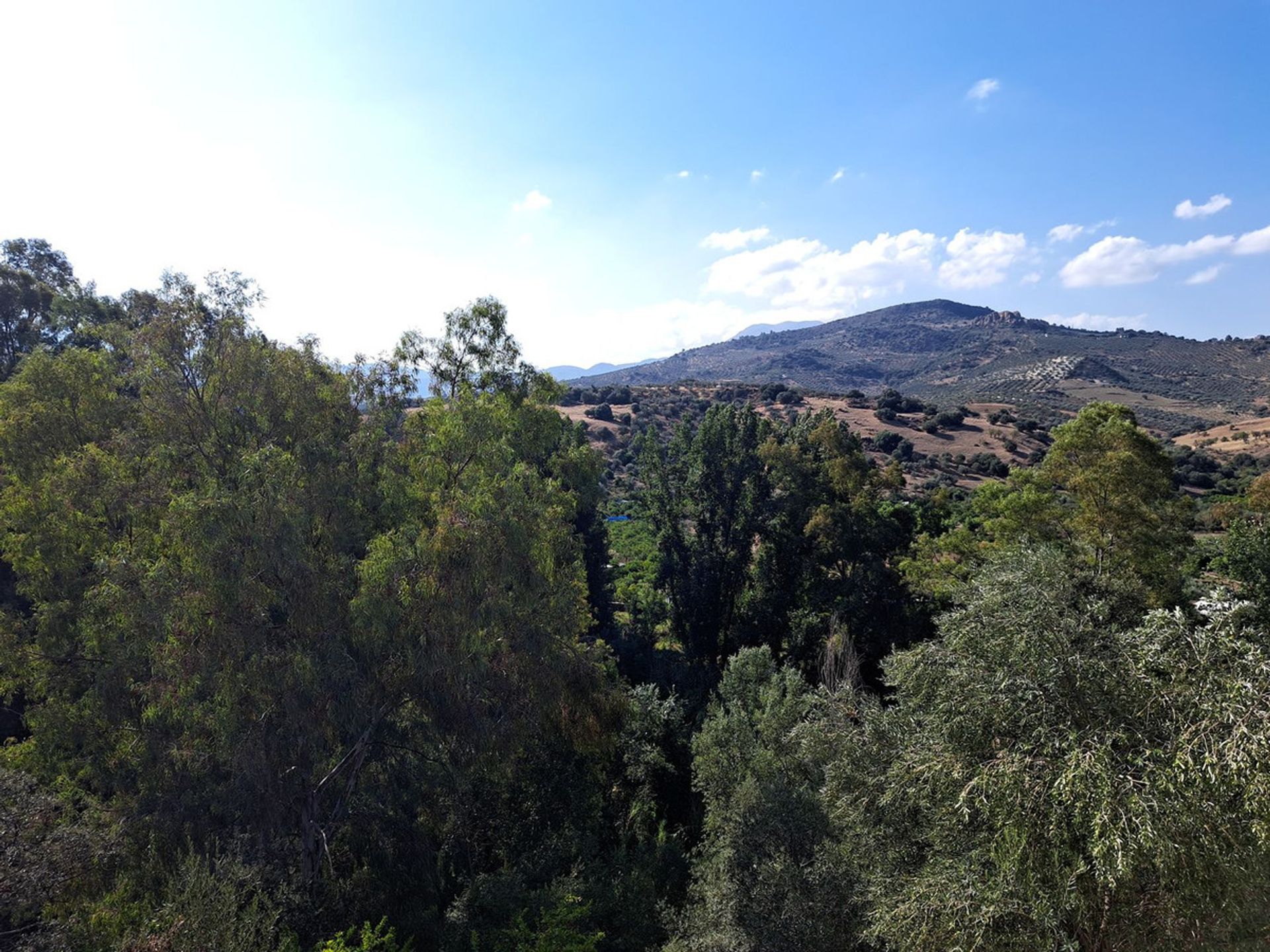 rumah dalam Coín, Andalusia 12315754