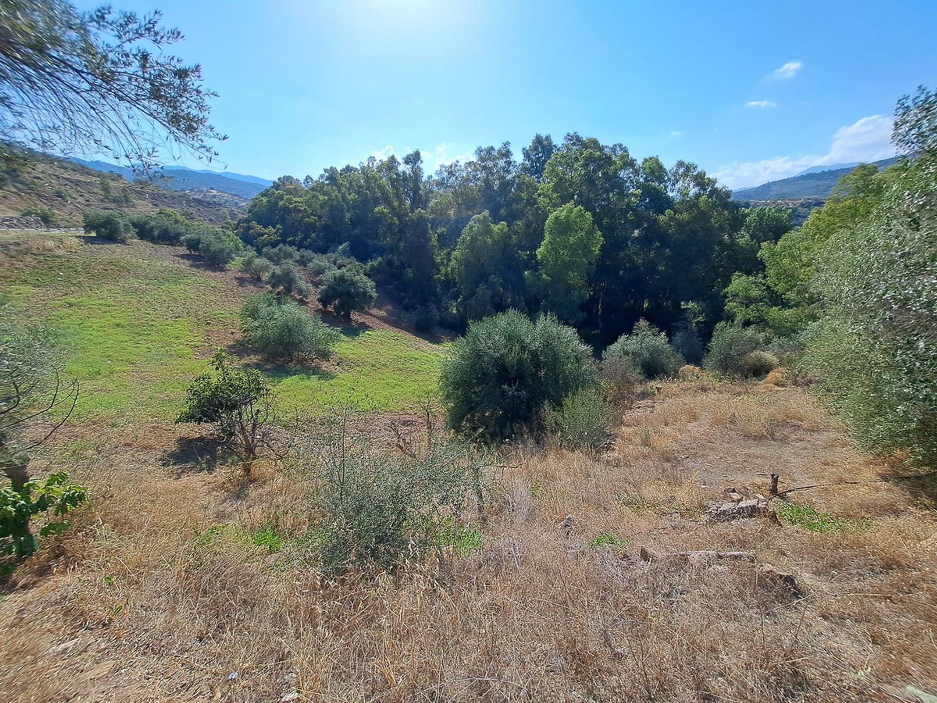 rumah dalam Coín, Andalusia 12315754