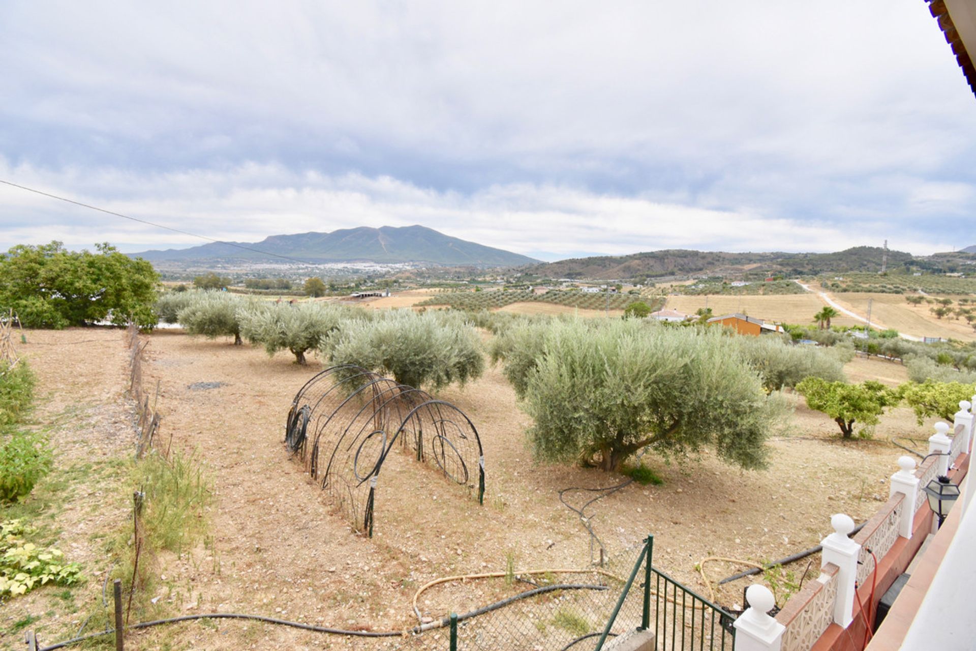 rumah dalam Coín, Andalusia 12315879