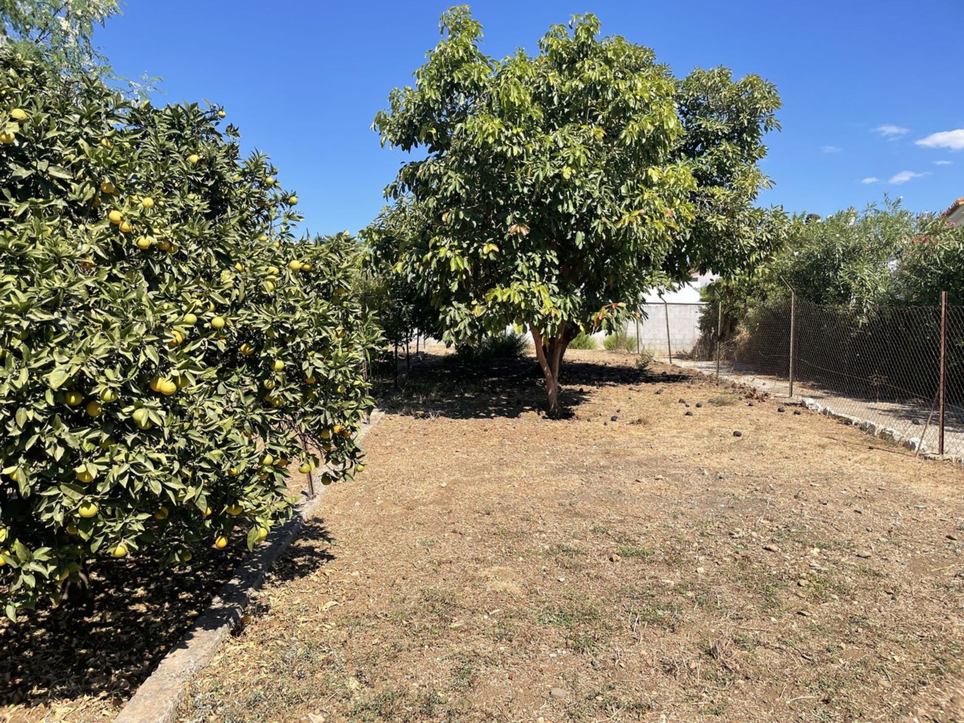 Land i San Pedro de Alcantara, Andalusia 12315910