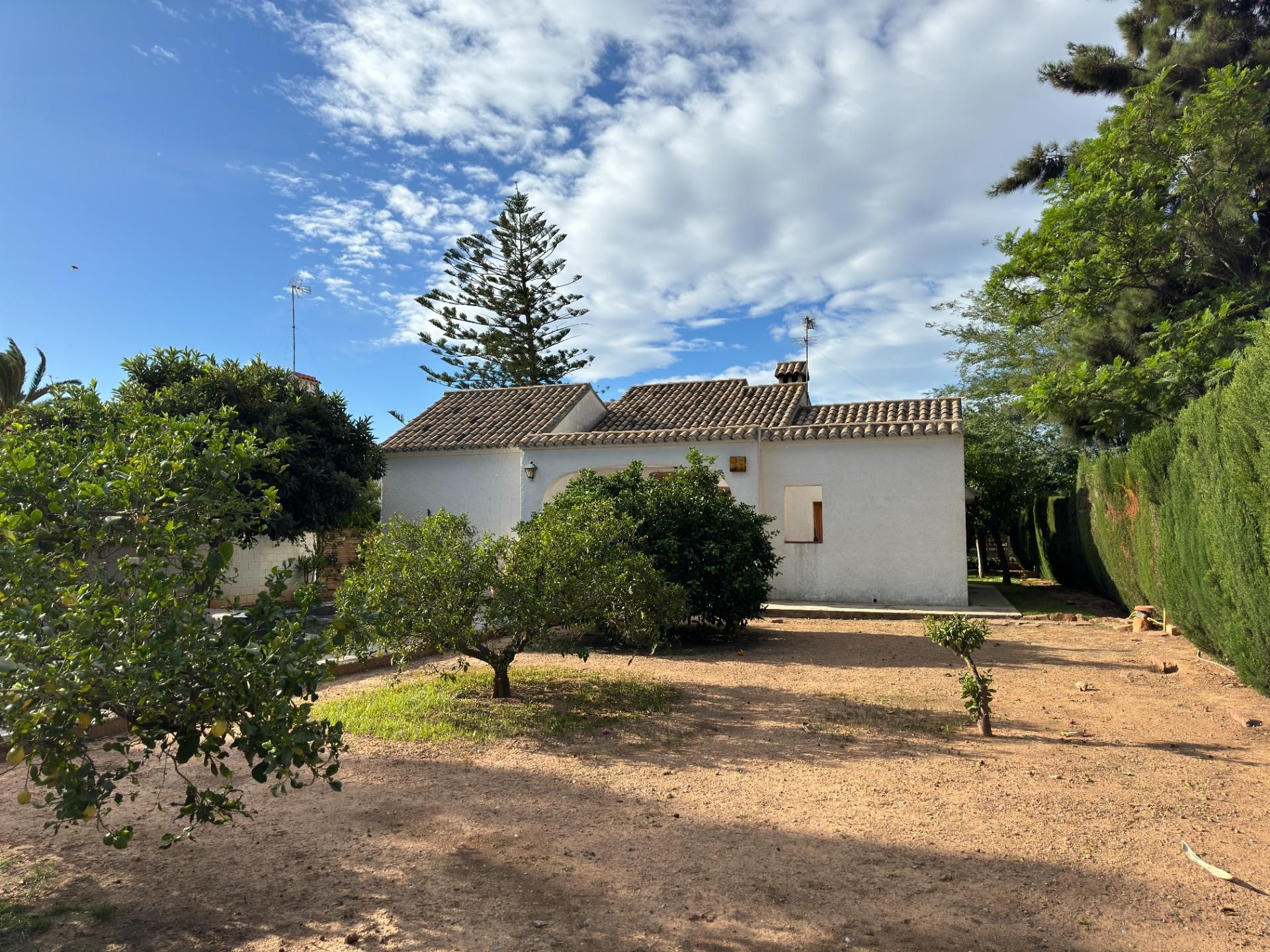 Hus i Náquera, Valencian Community 12316543