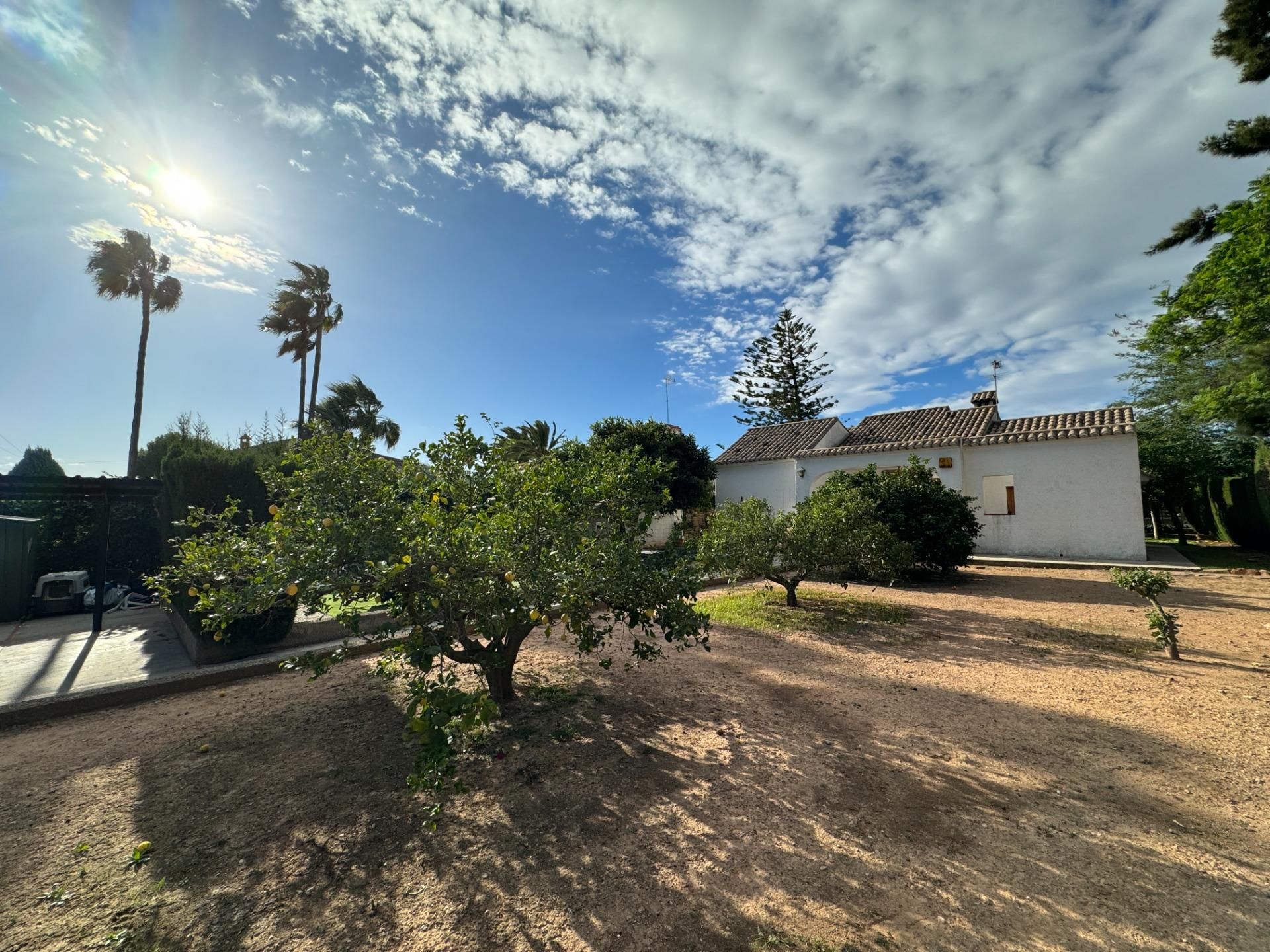 Hus i Náquera, Valencian Community 12316543