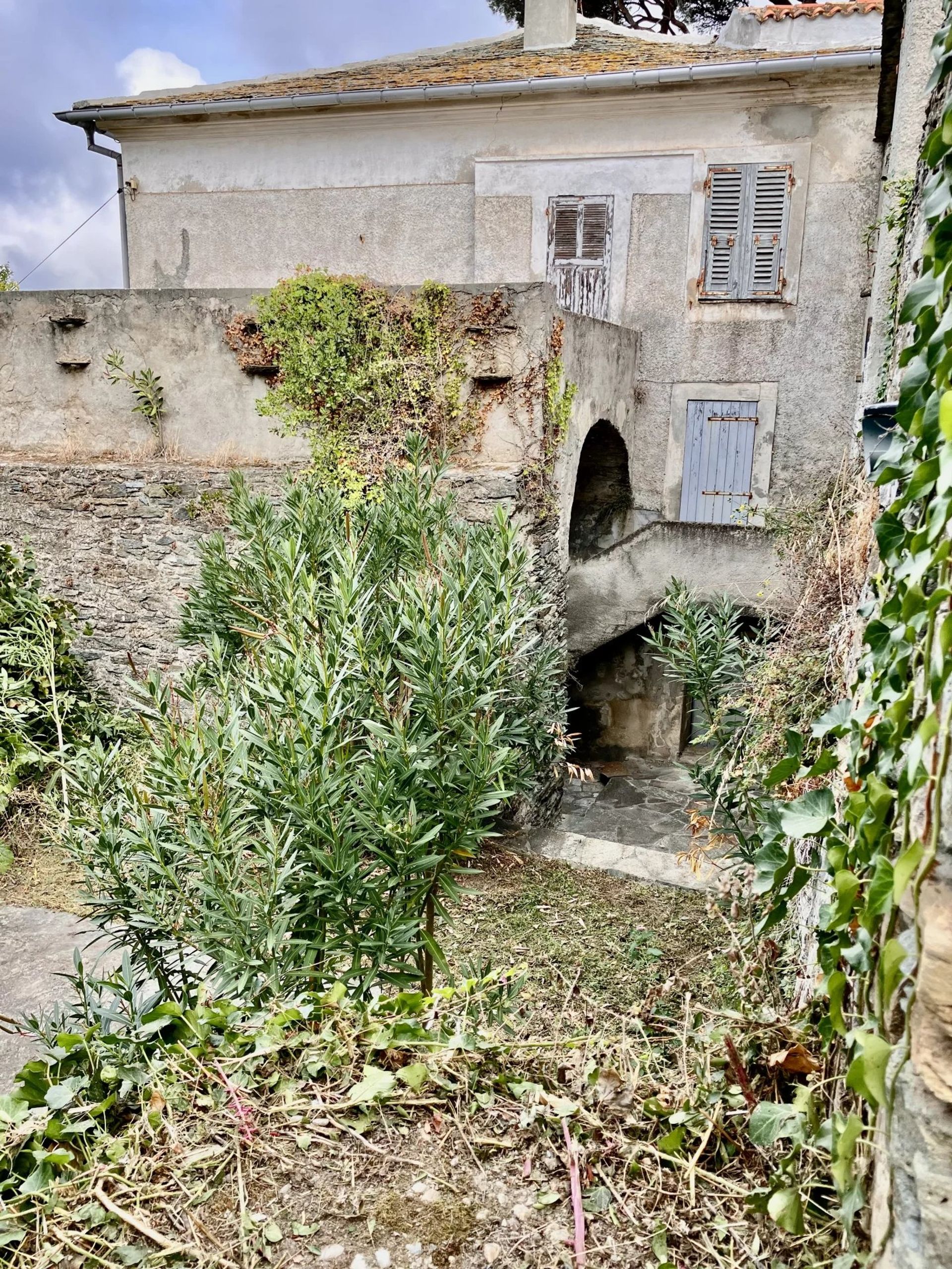 Casa nel Pino, Corsica 12316959