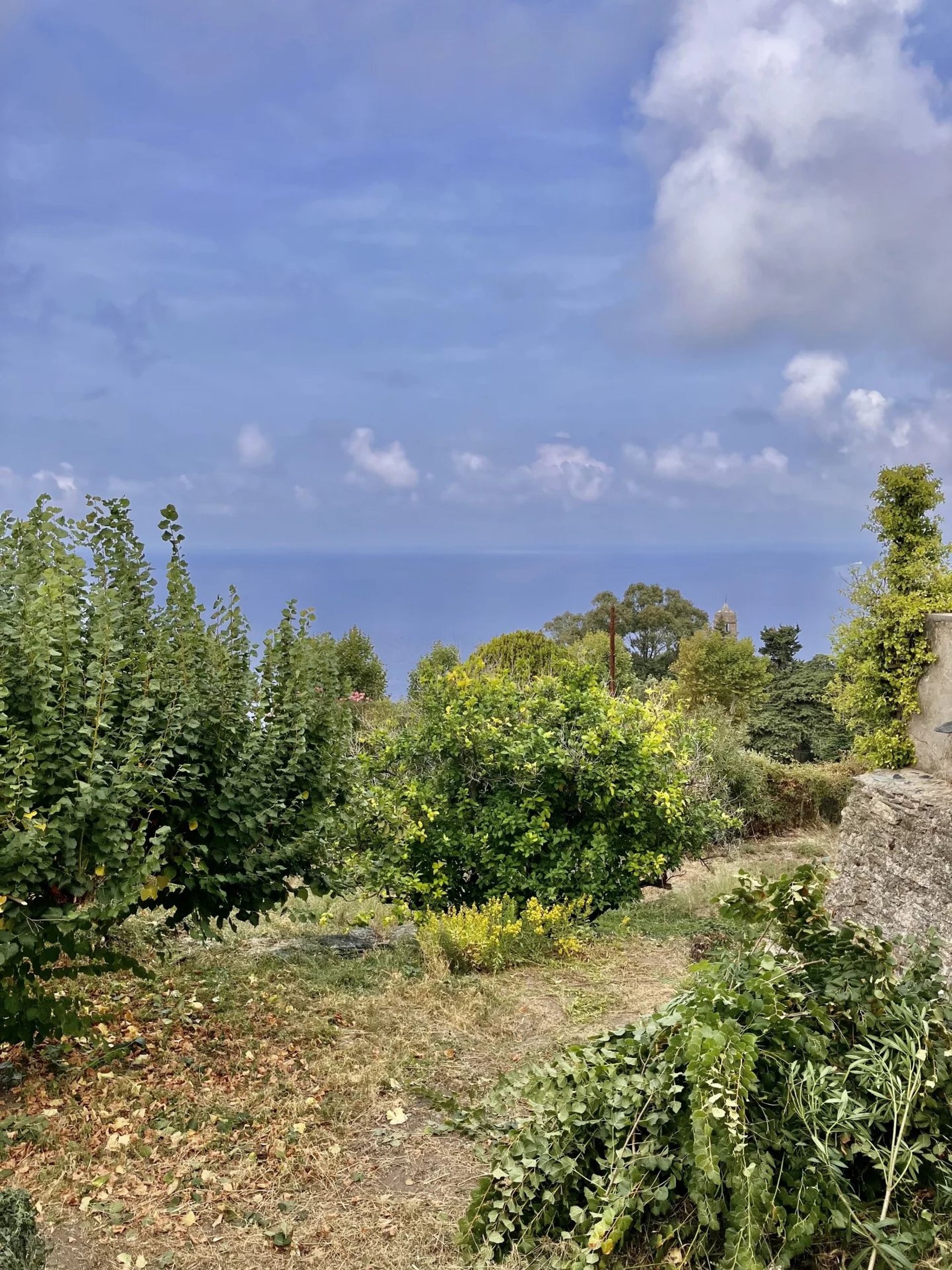 Casa nel Pino, Corsica 12316959