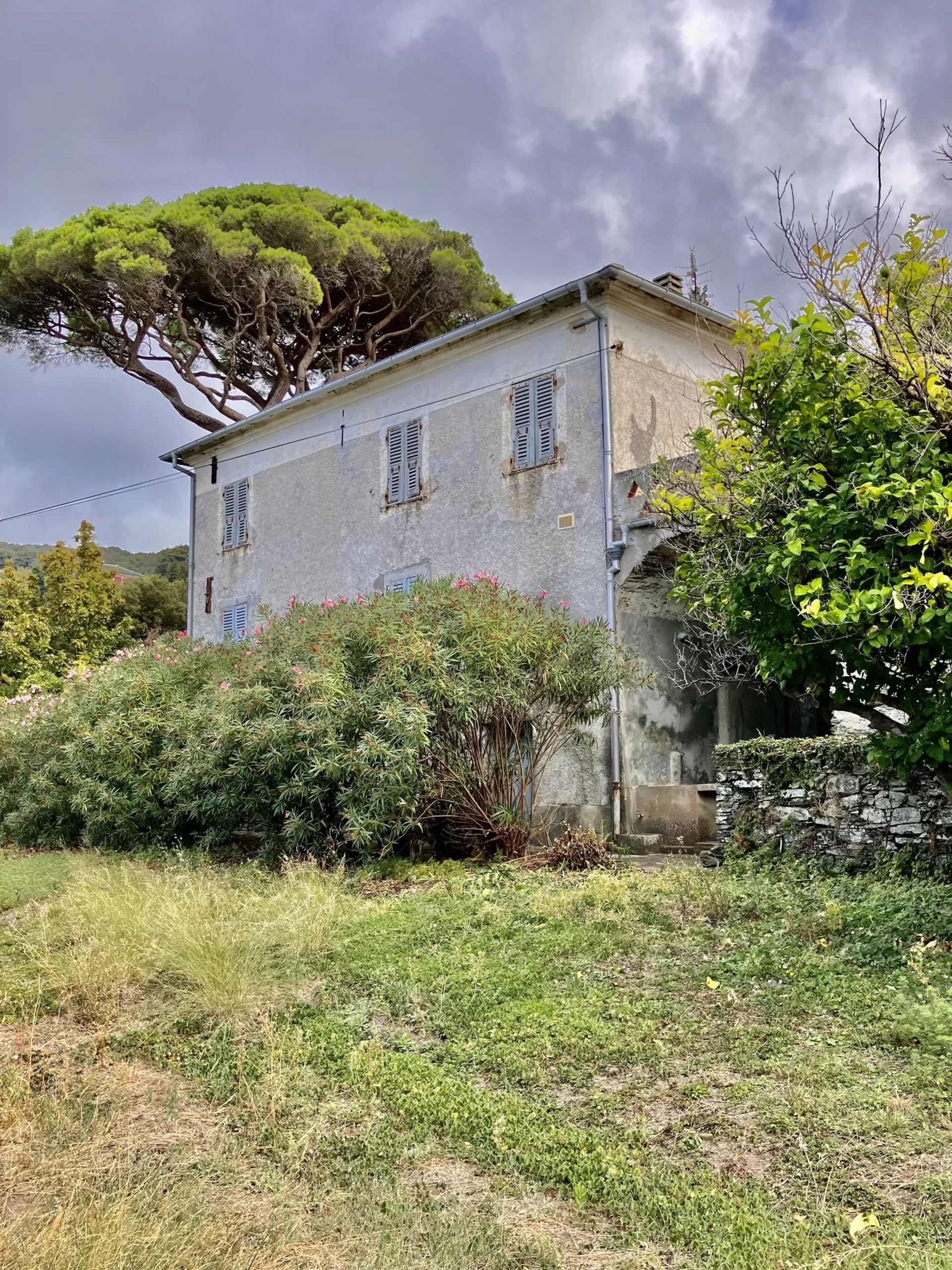 casa no Pino, Haute-Corse 12316959