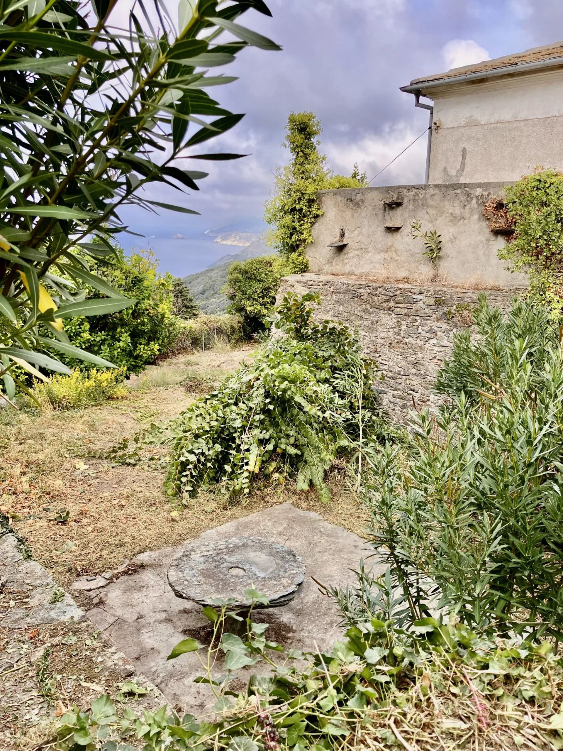 casa no Pino, Haute-Corse 12316959