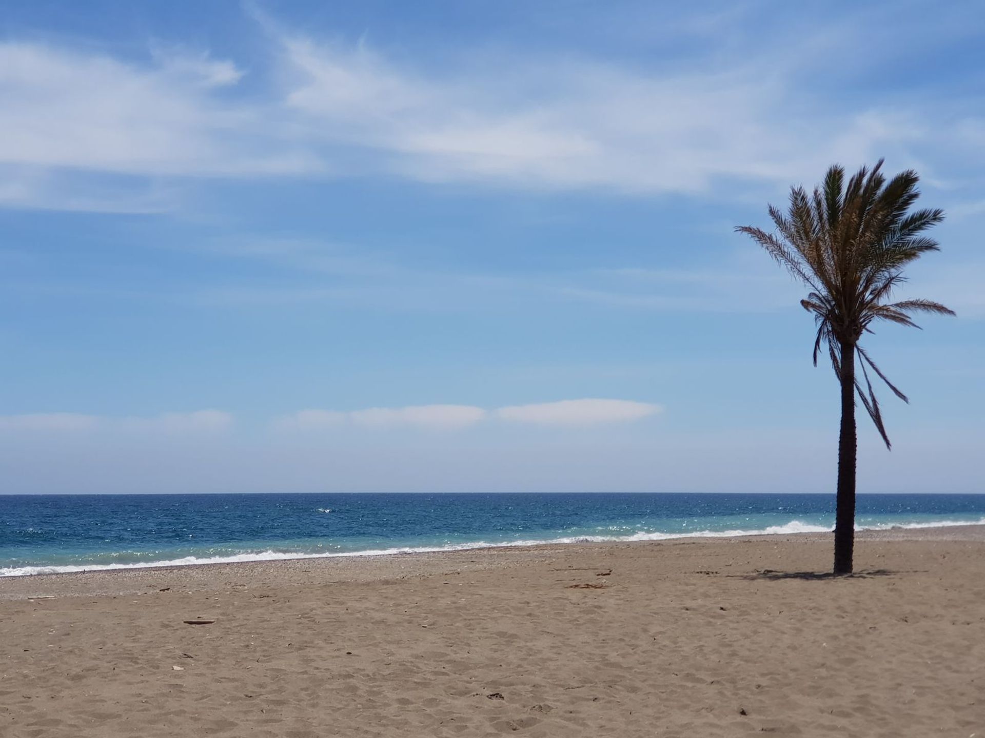 Hus i Puerto de la Duquesa, Andalusia 12318583