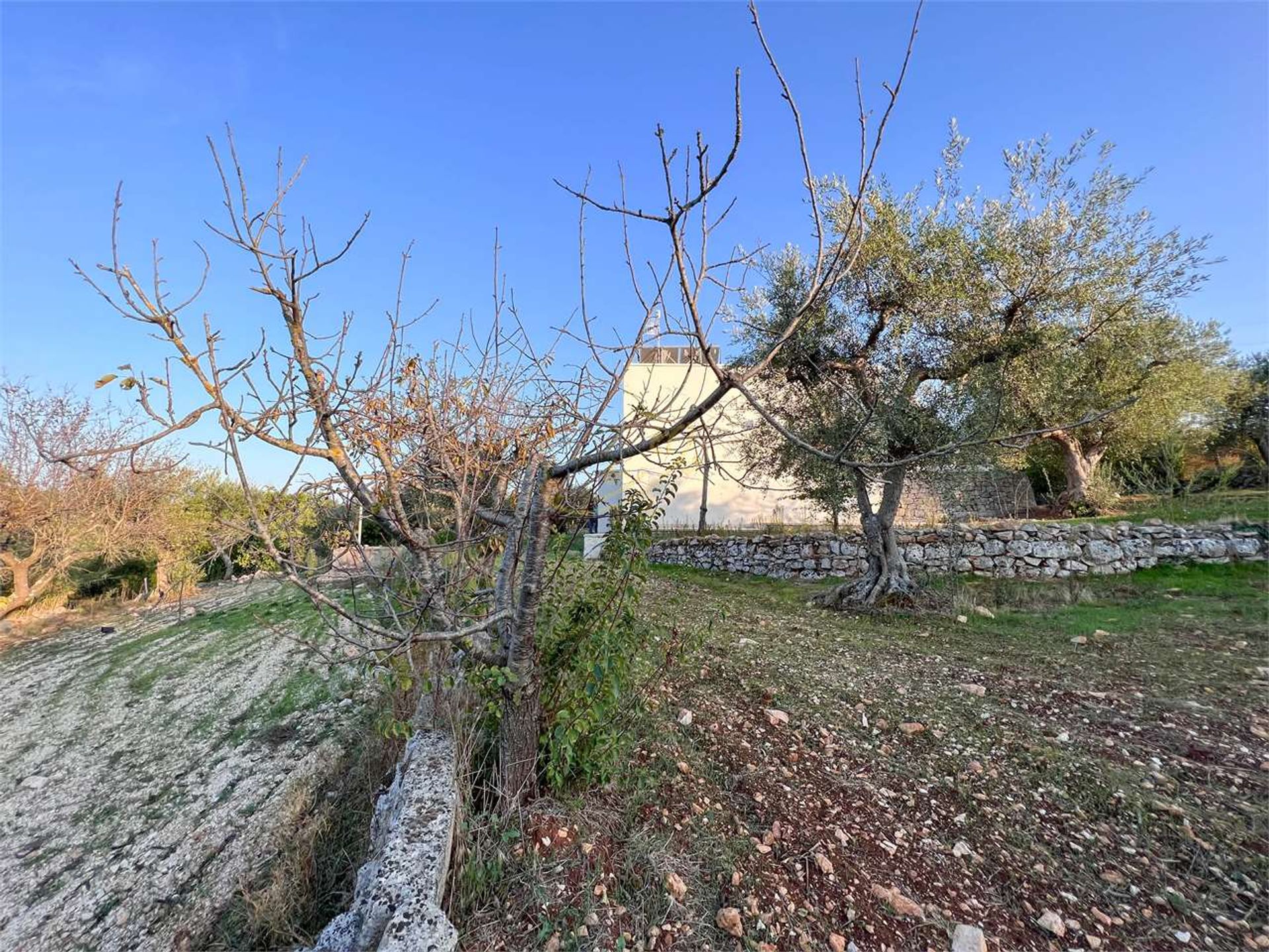 بيت في Castellana Grotte, Apulia 12318904