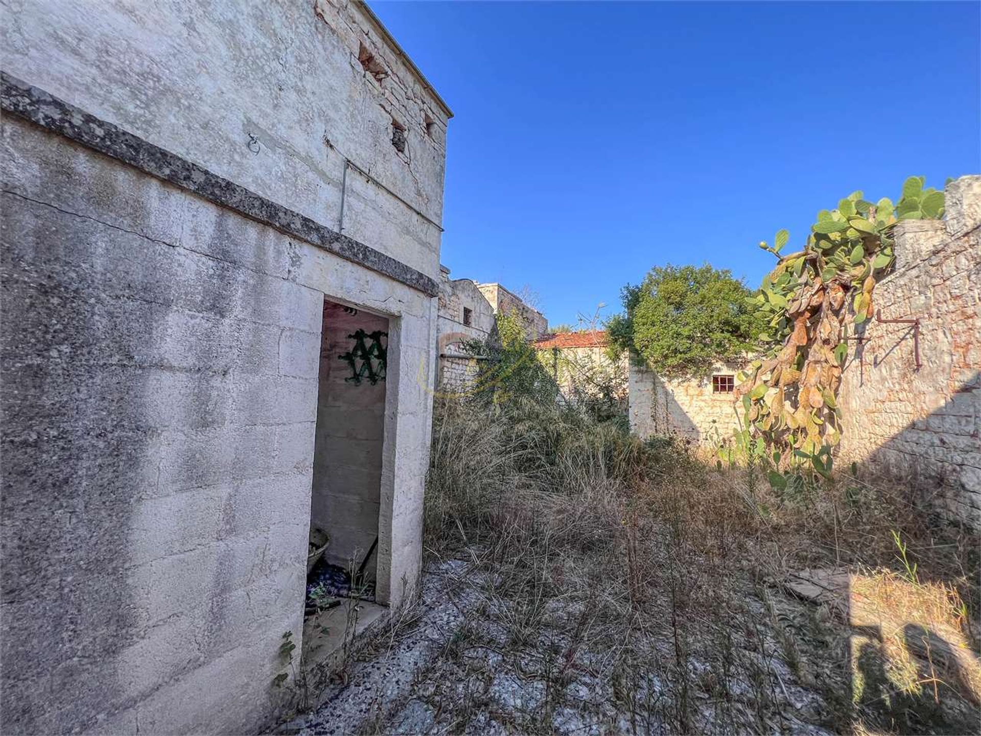 Land i Conversano, Puglia 12318905