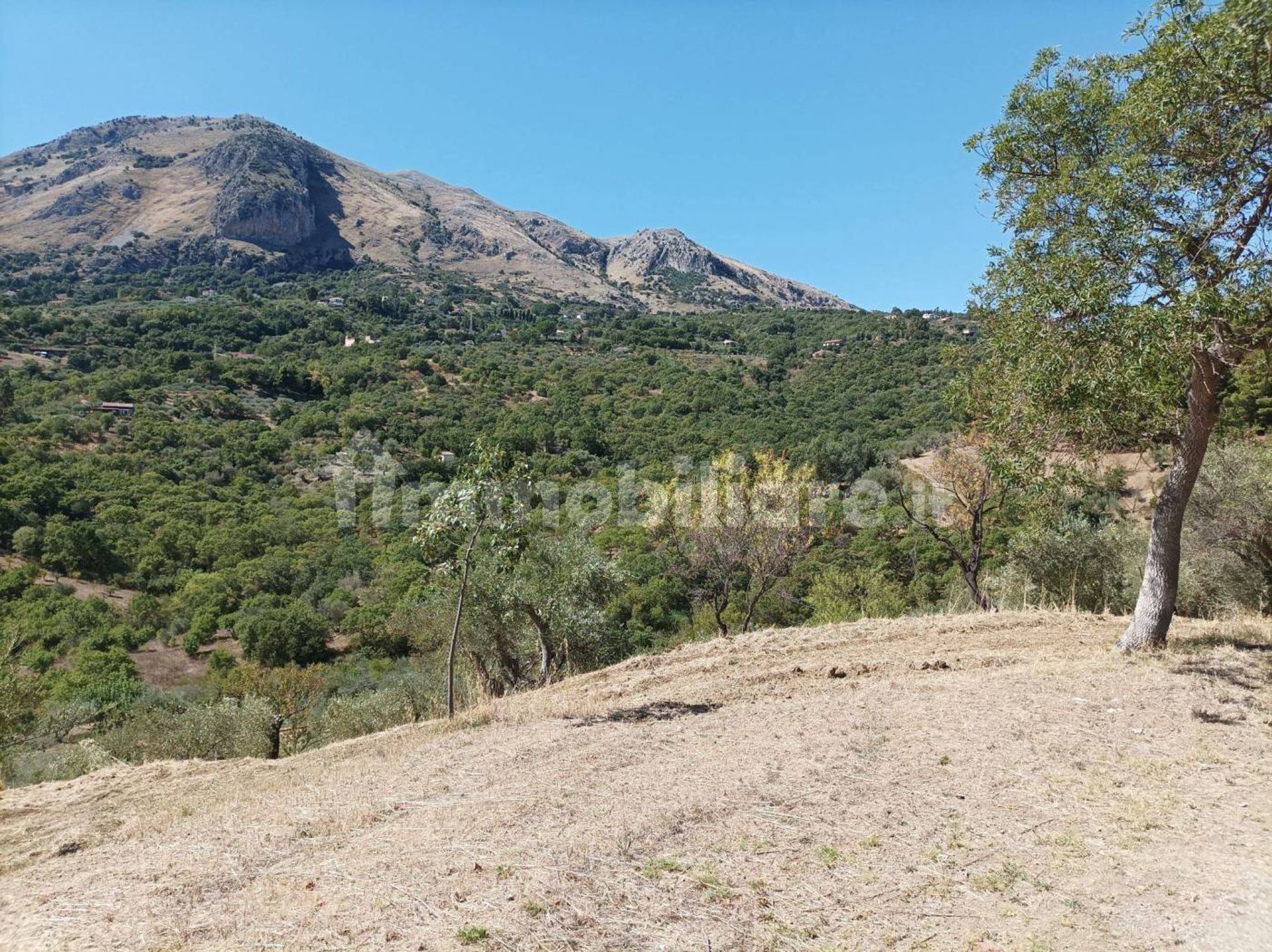 σπίτι σε Castelbuono, Sicily 12319945