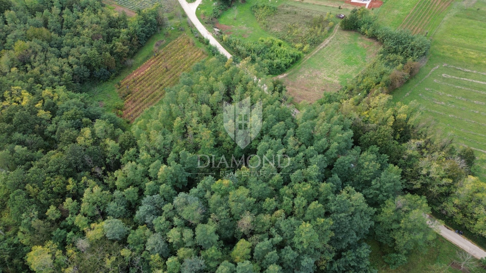 Land in Labin, Istria County 12320266