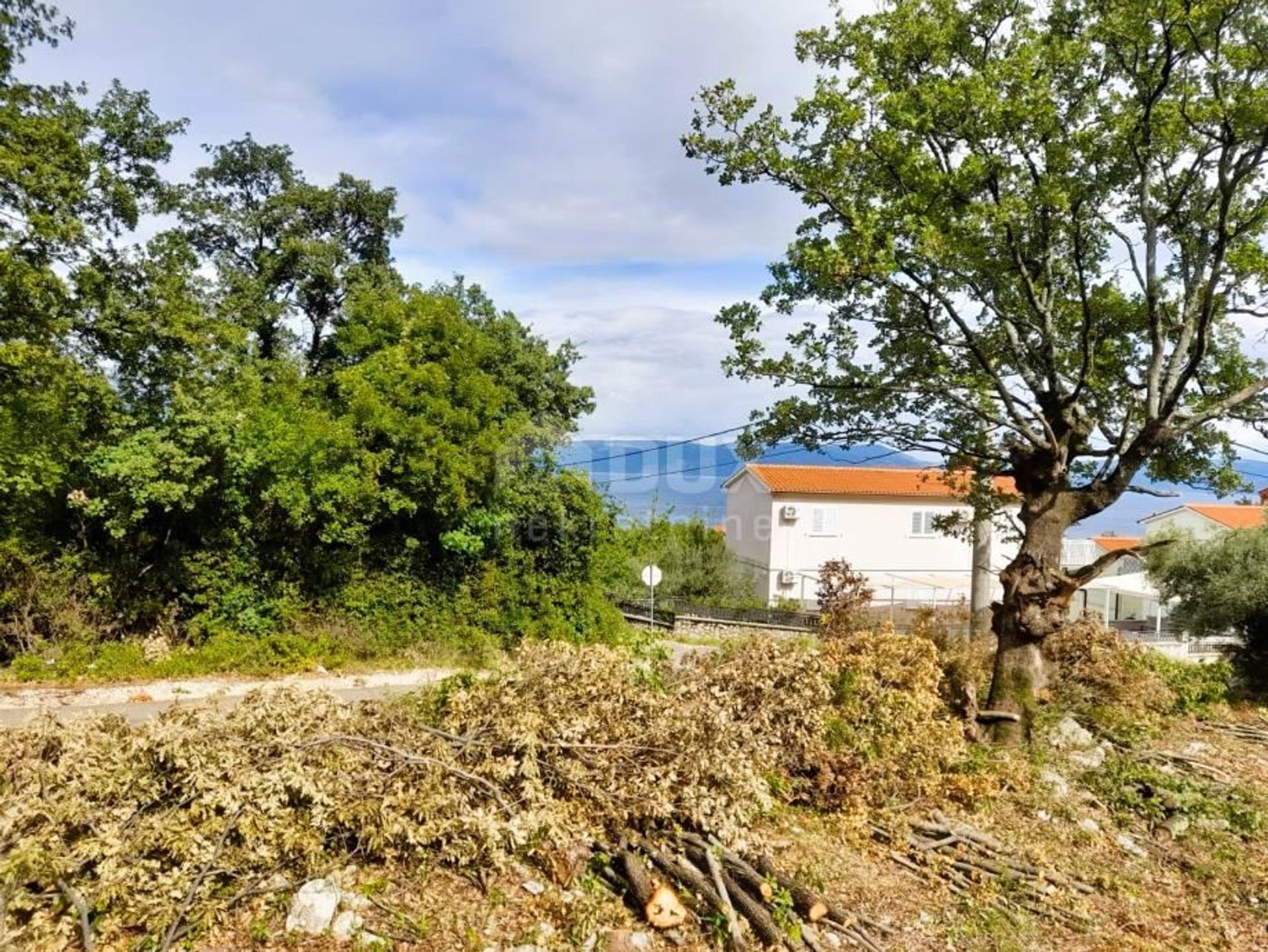 Tanah di laboratorium, Istarska Zupanija 12320448