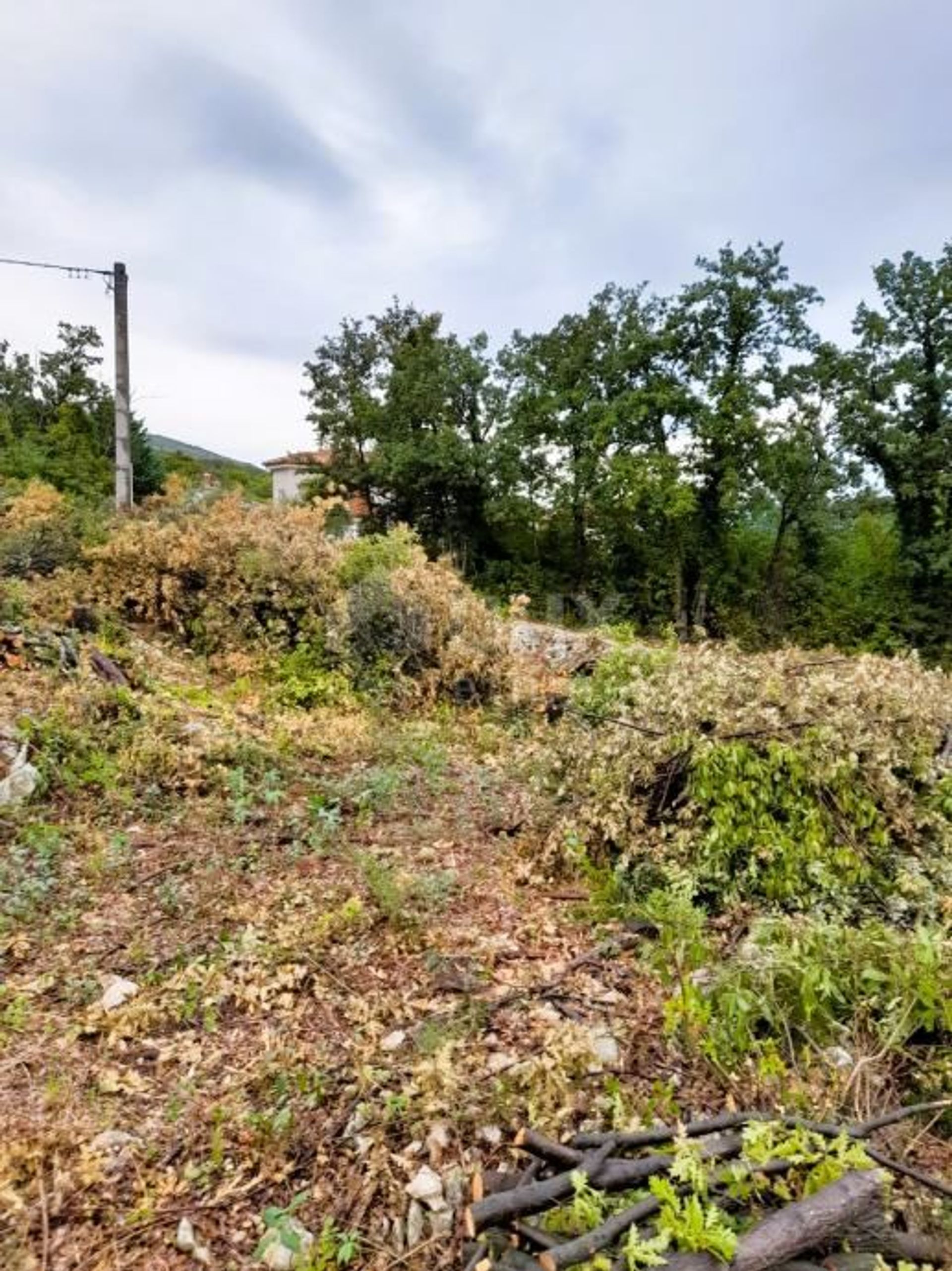 Terra no Labin, Istarska Zupanija 12320448