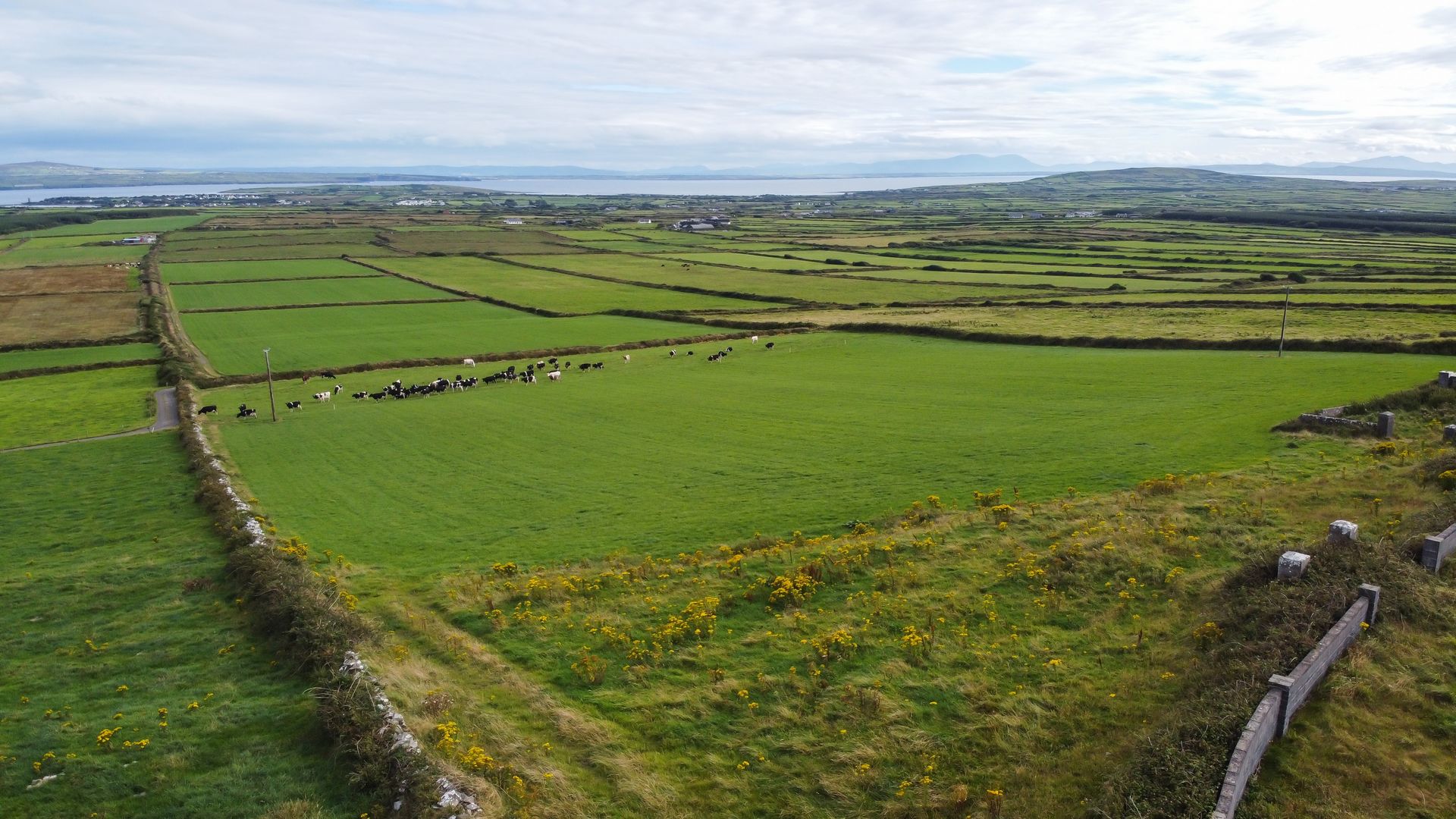 Land i Kilkee, Clare 12321167