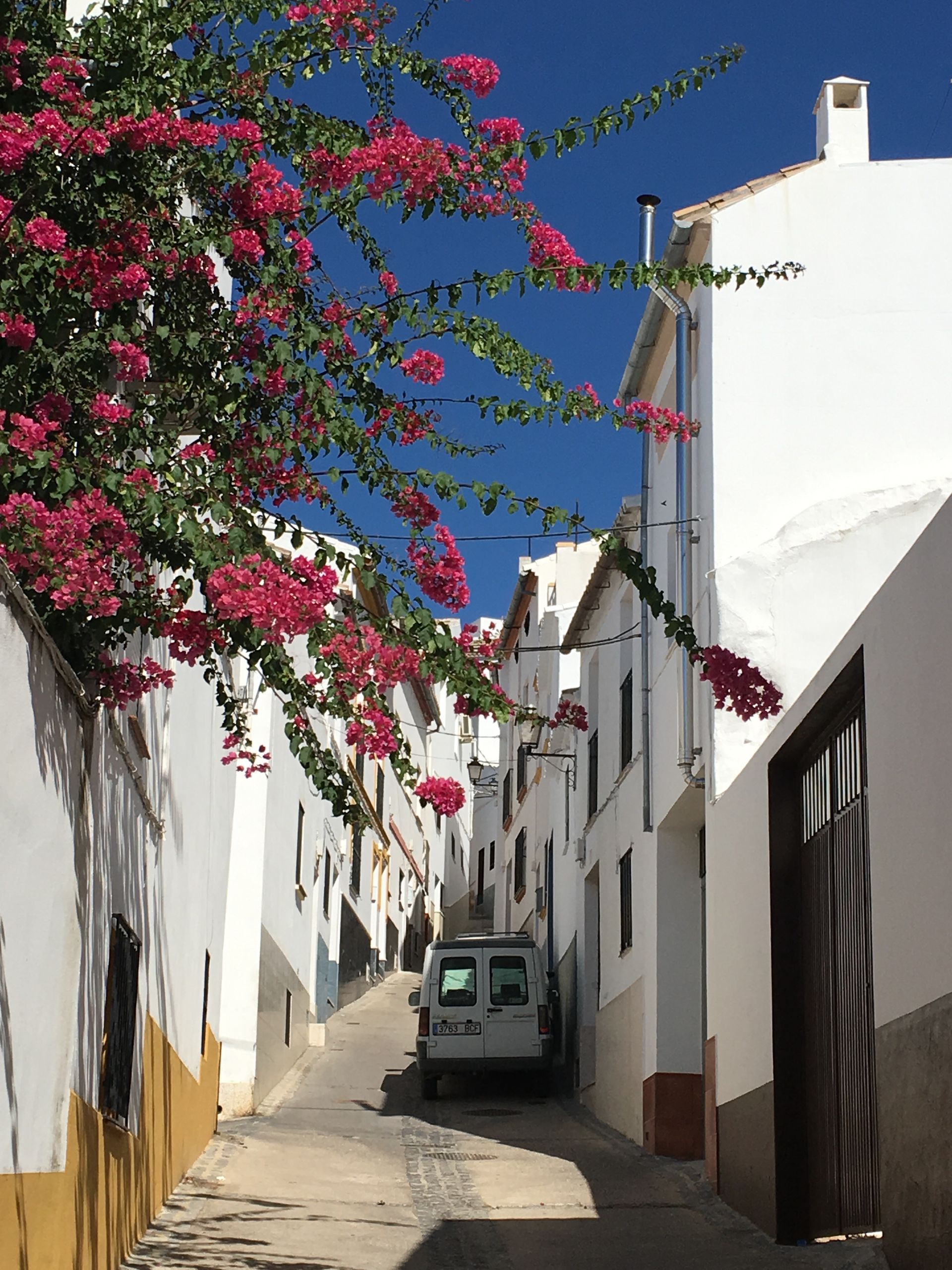 Haus im Olvera, Andalusia 12322213