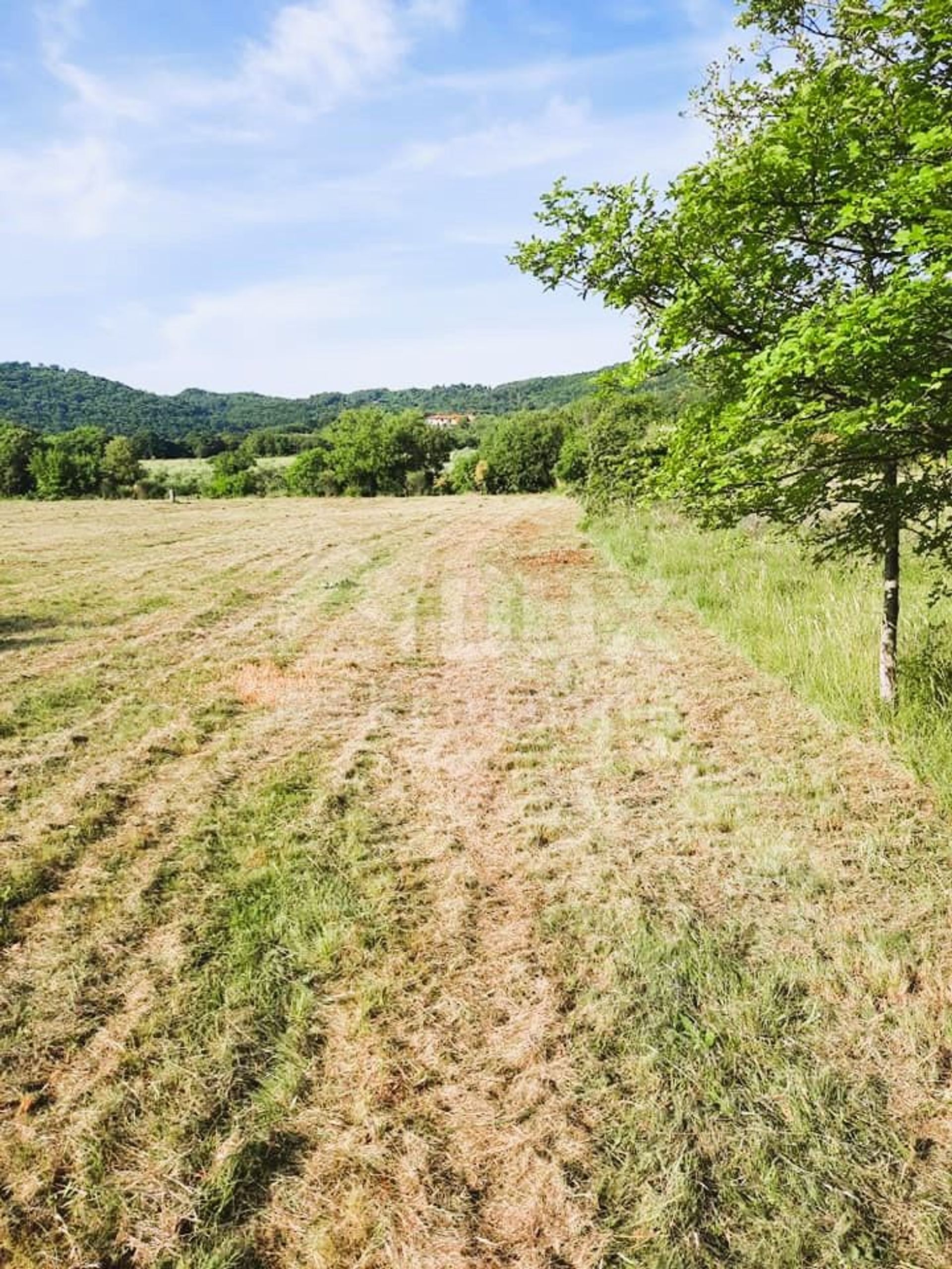 Tierra en Labin, Istarska Županija 12322227