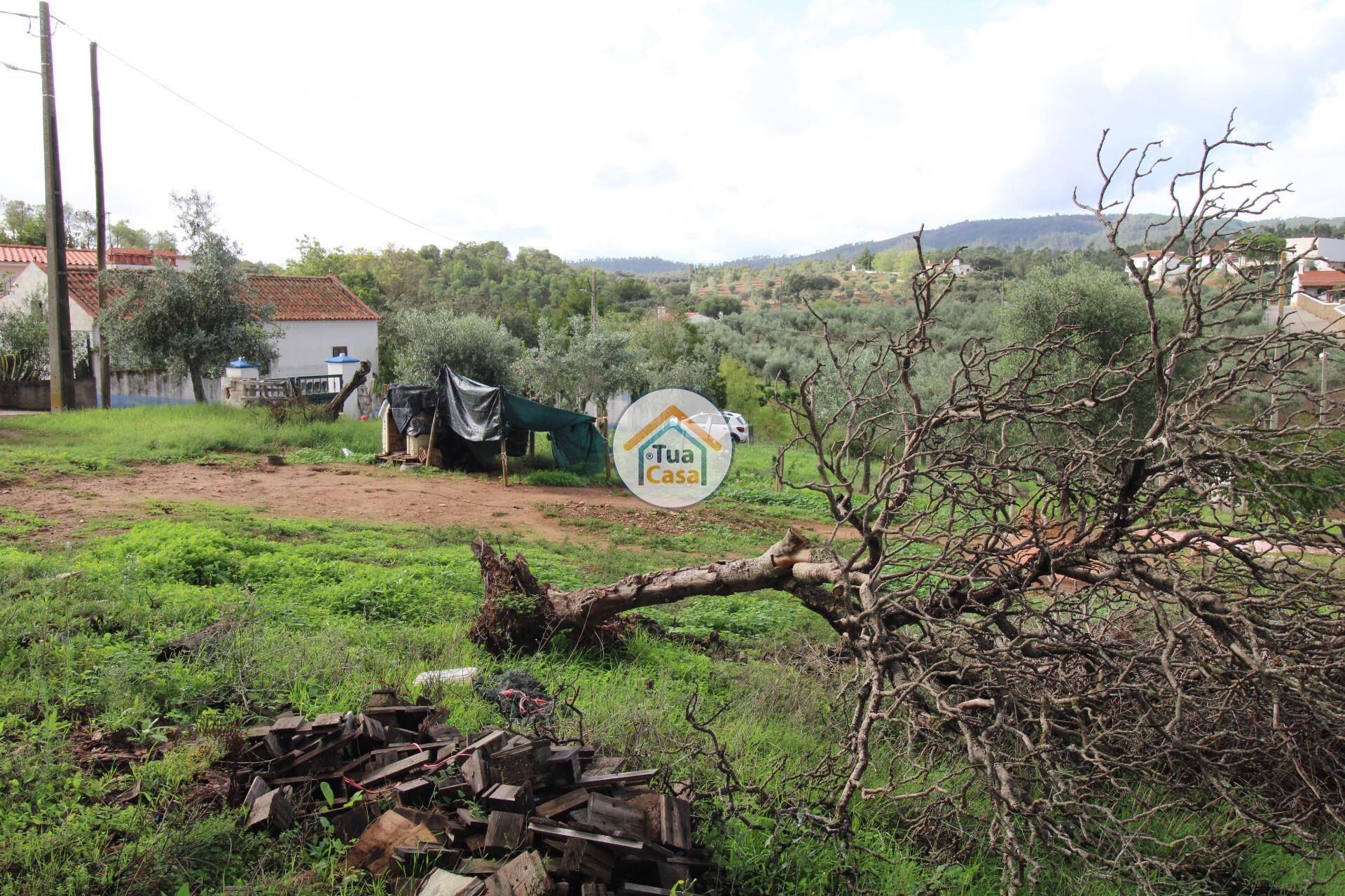 Land in Redondo, Évora District 12322265