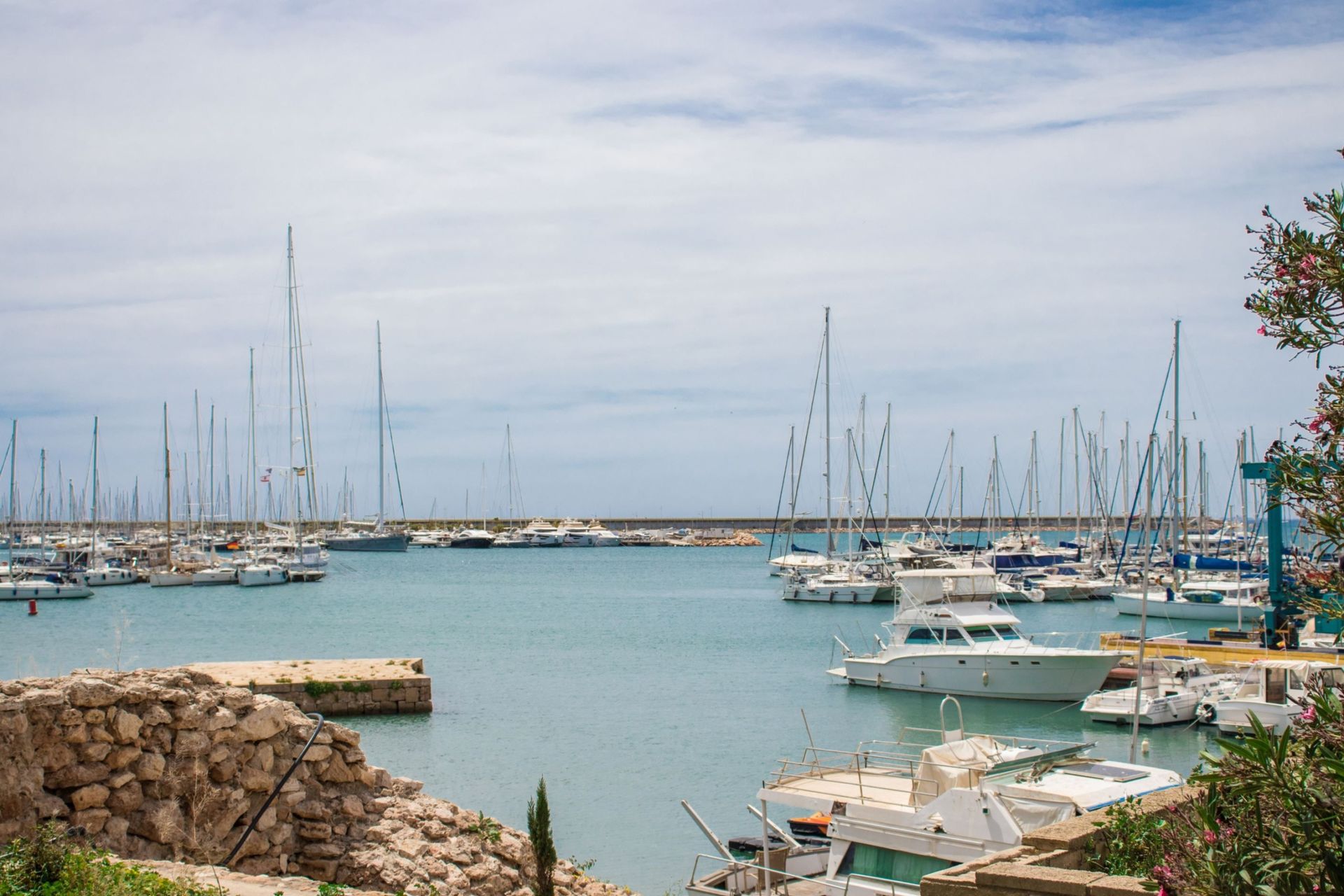 Condominium in Torrevieja, Valencian Community 12324112