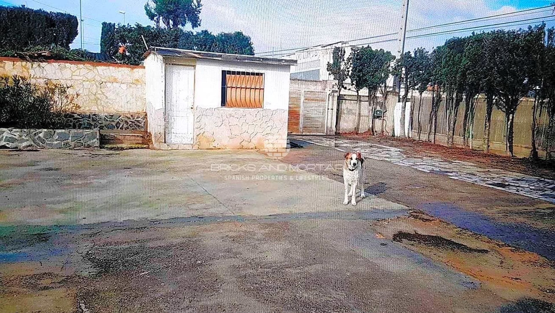 casa no Llíria, Valencian Community 12324145