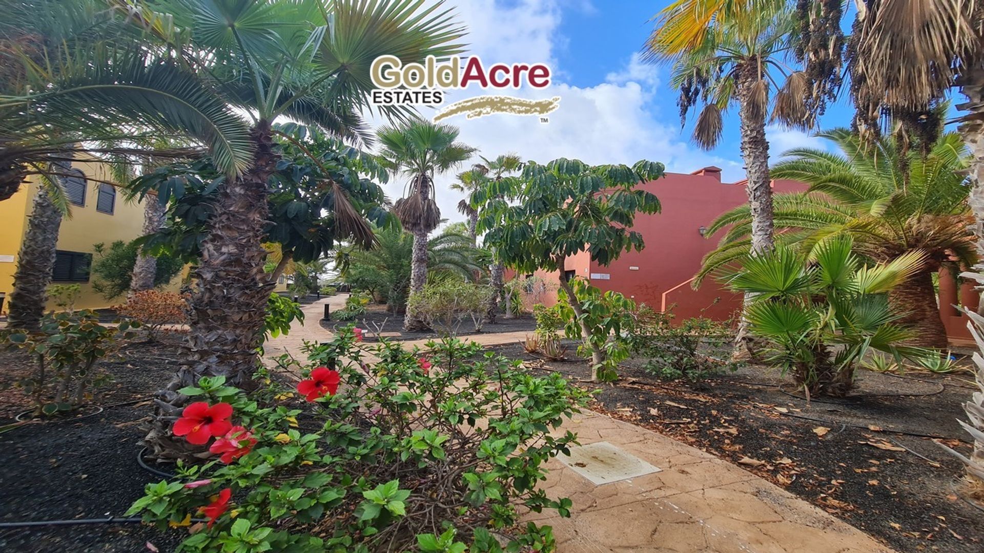 Condominium dans Corralejo, Canarias 12325112