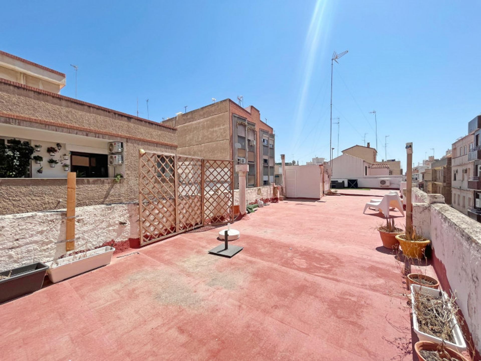 Αλλα σε Sagunto, Valencian Community 12325683