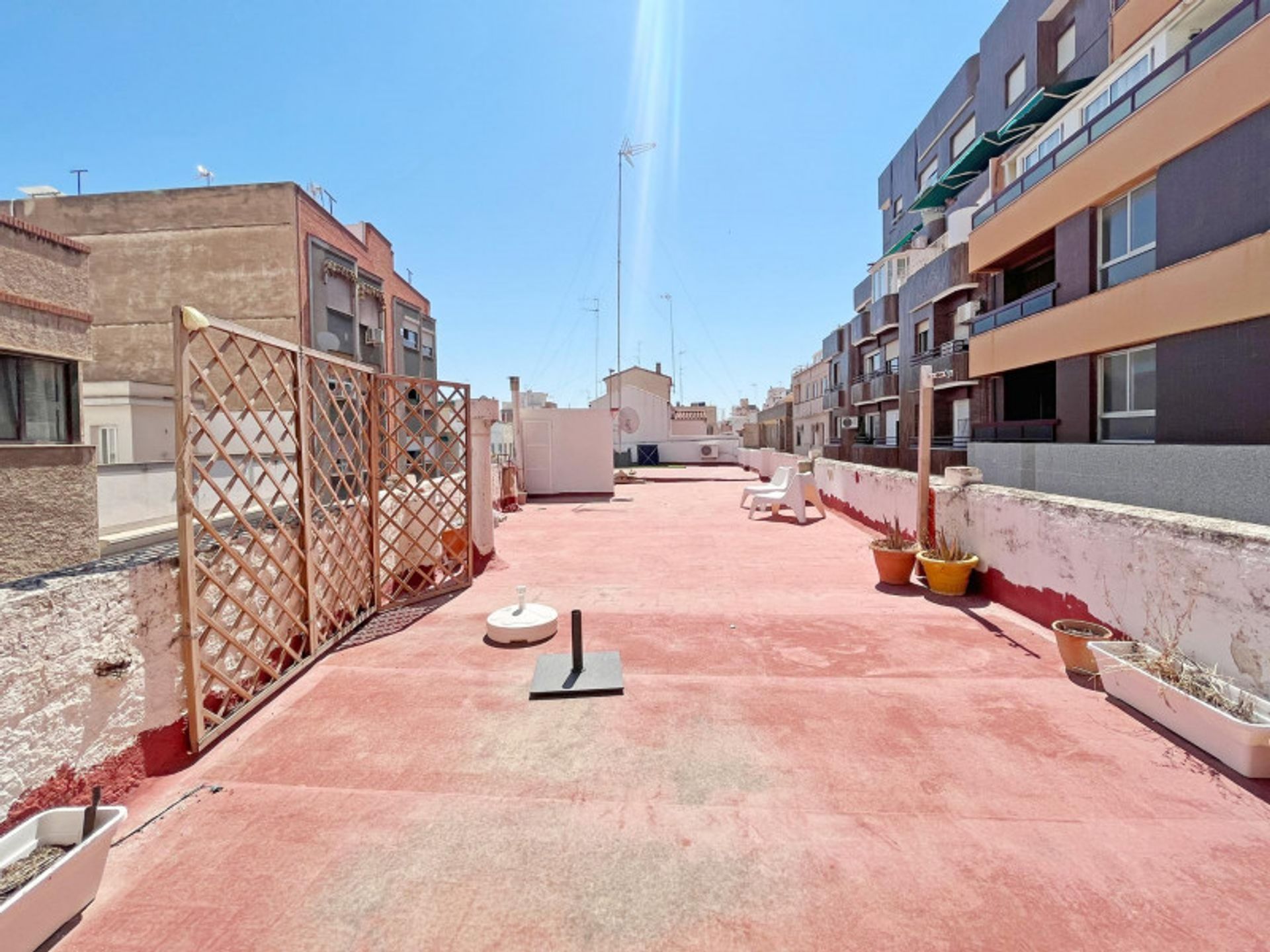 Αλλα σε Sagunto, Valencian Community 12325683