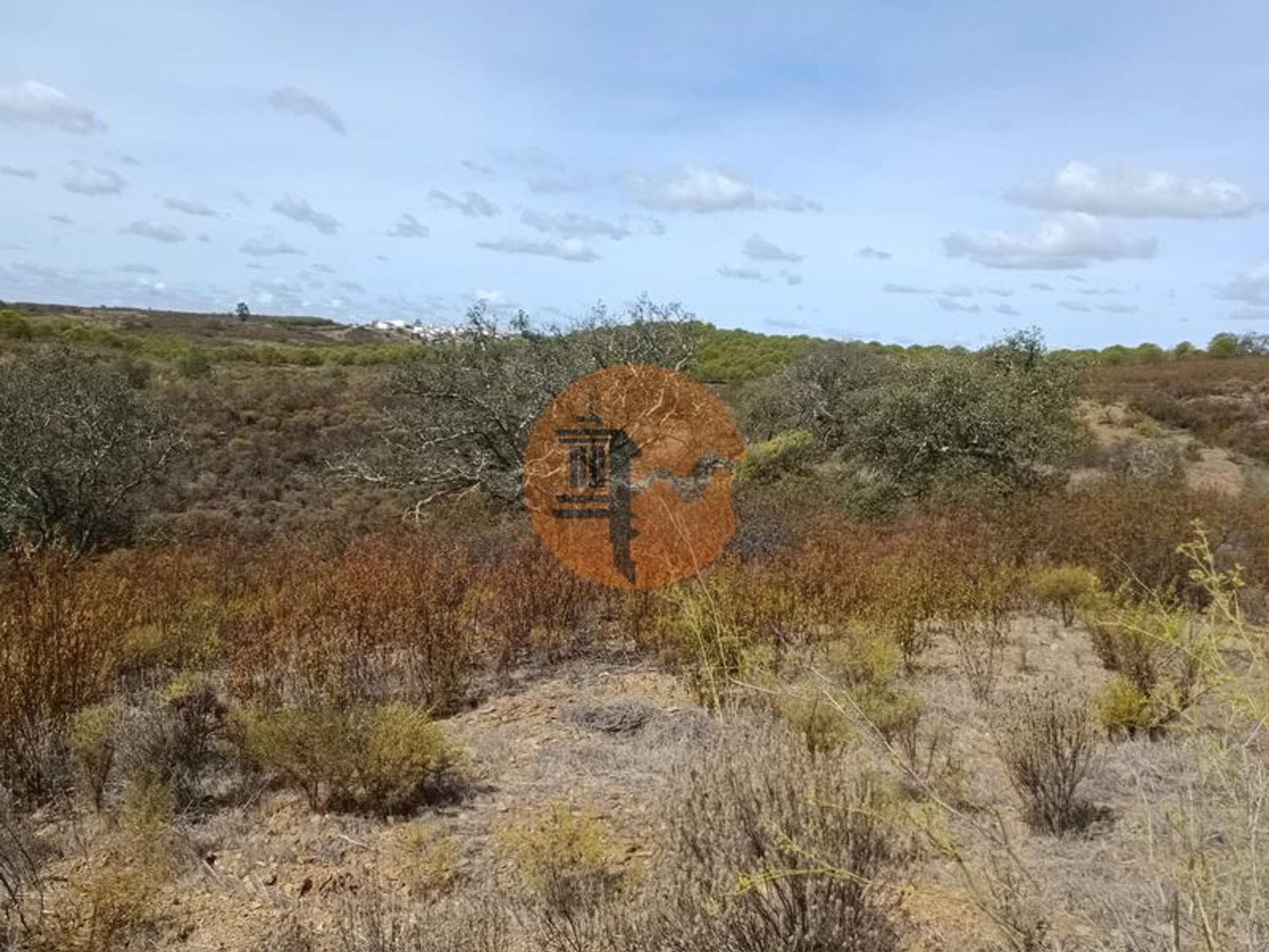 ארץ ב אזינהל, פארו 12327439