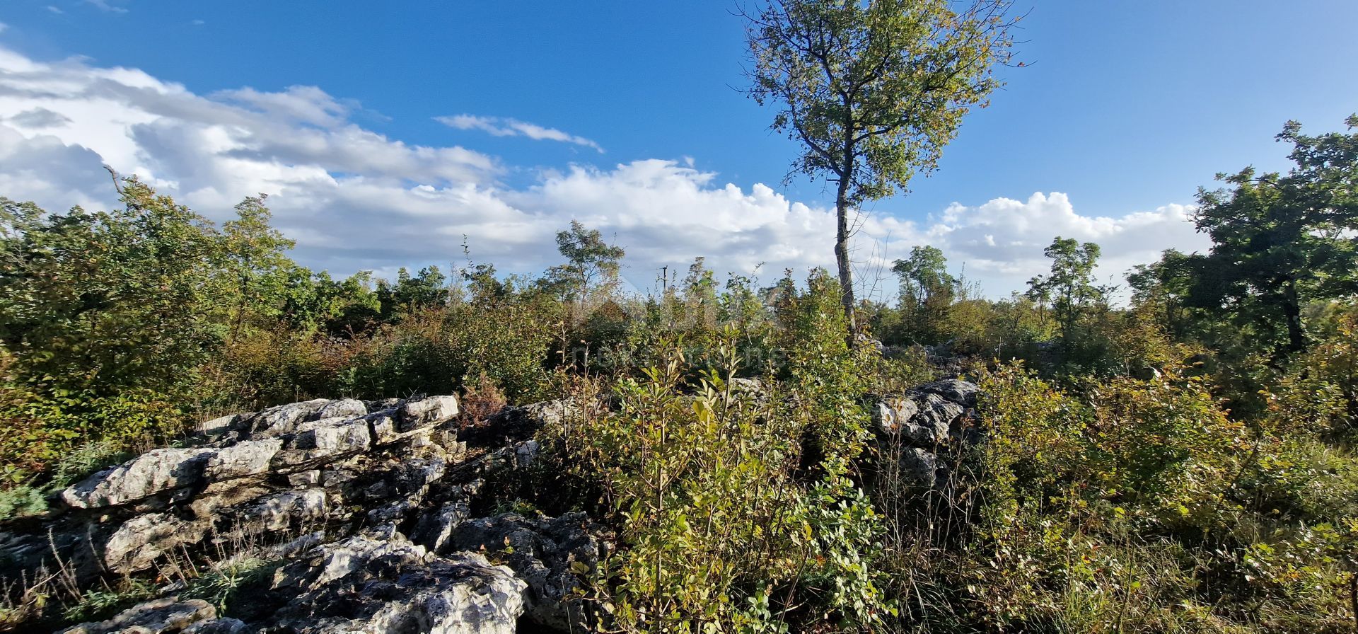 Land in Labin, Istria County 12327513