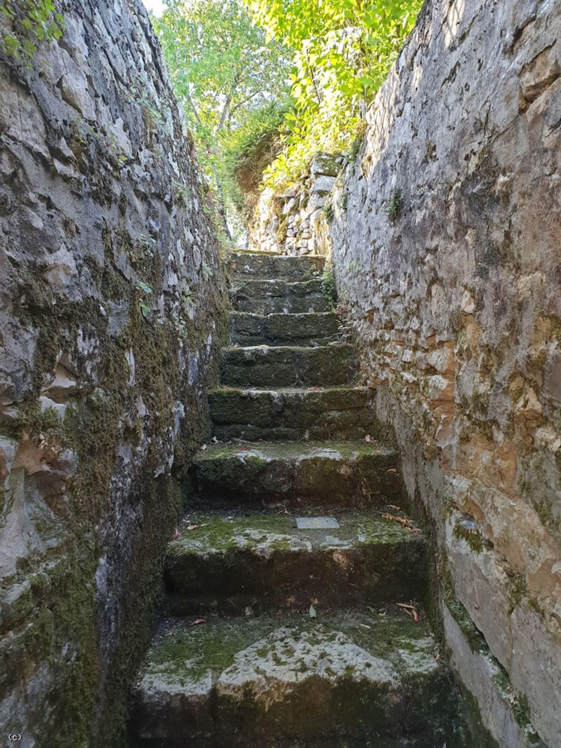 rumah dalam Verteuil-sur-Charente, Nouvelle-Aquitaine 12328904