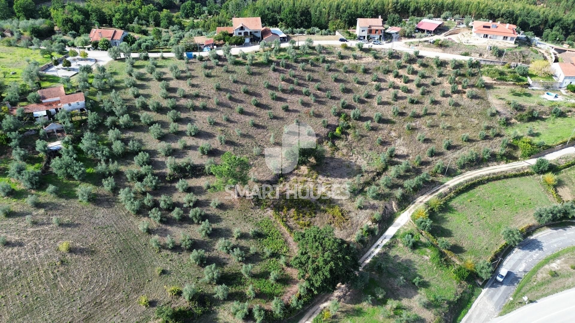 Γη σε Rossio ao Sul do Tejo, Σανταρέμ 12328934