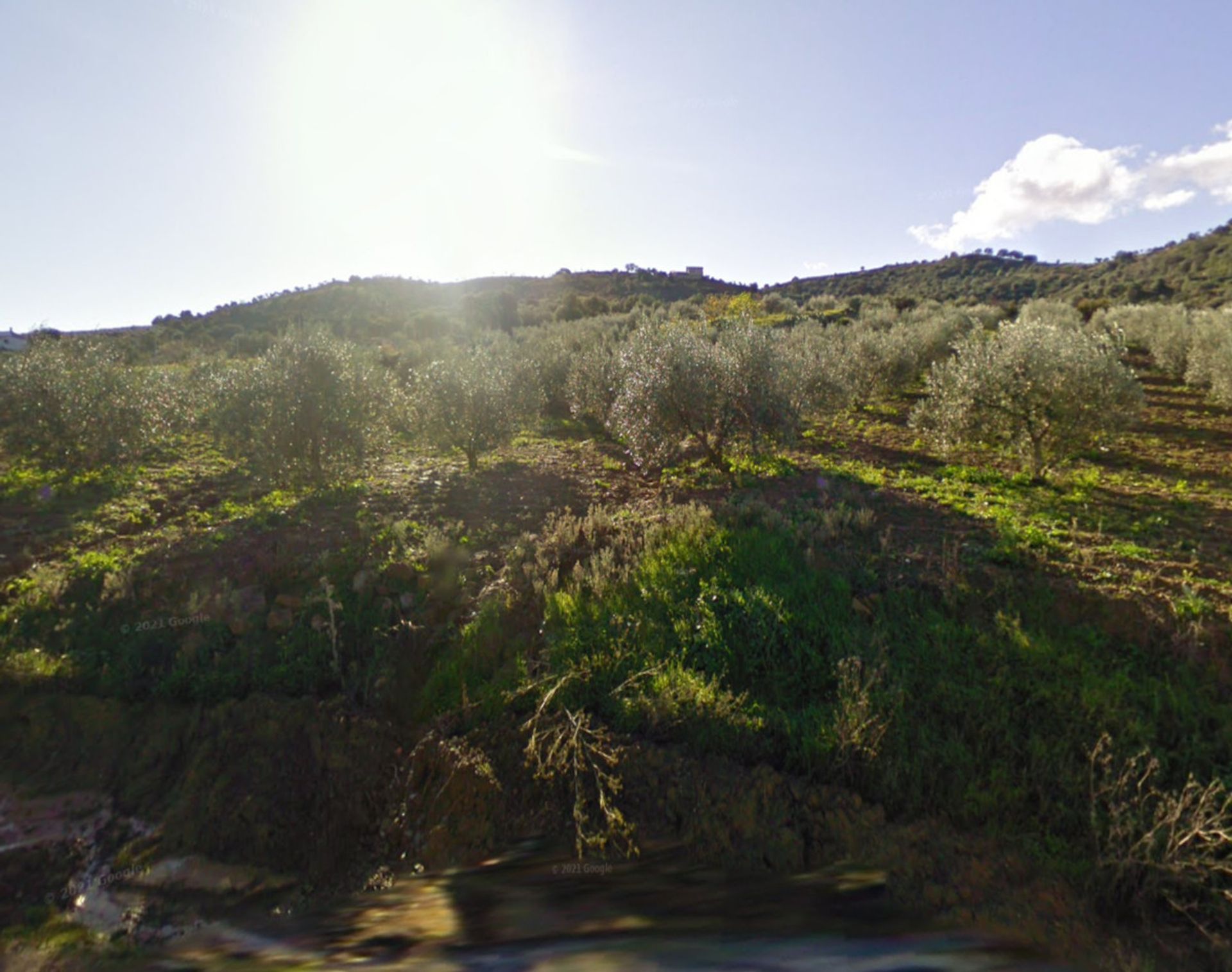 Land i Mynt, Andalusia 12329027