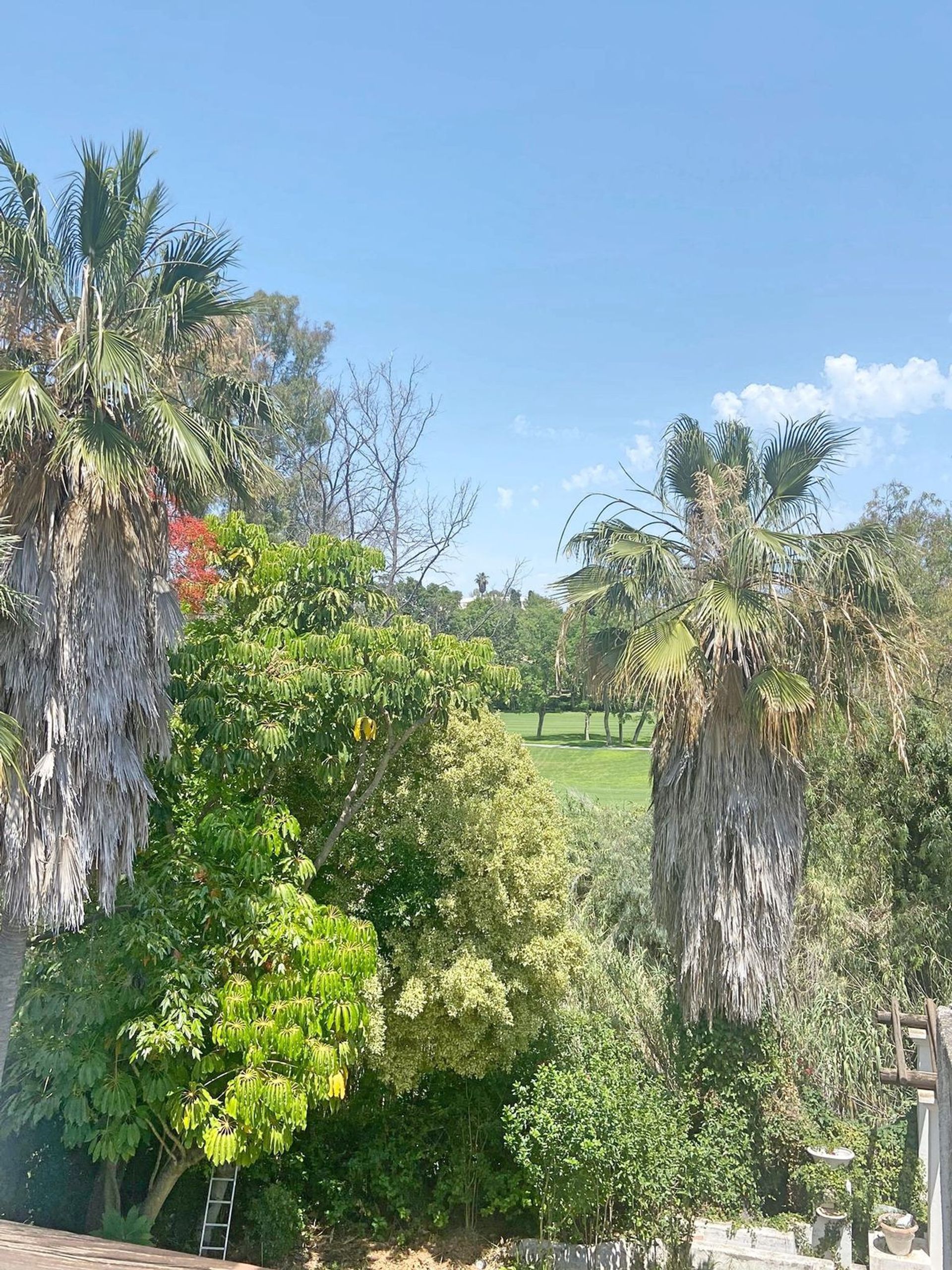 House in San Pedro Alcántara, Andalucía 12329124