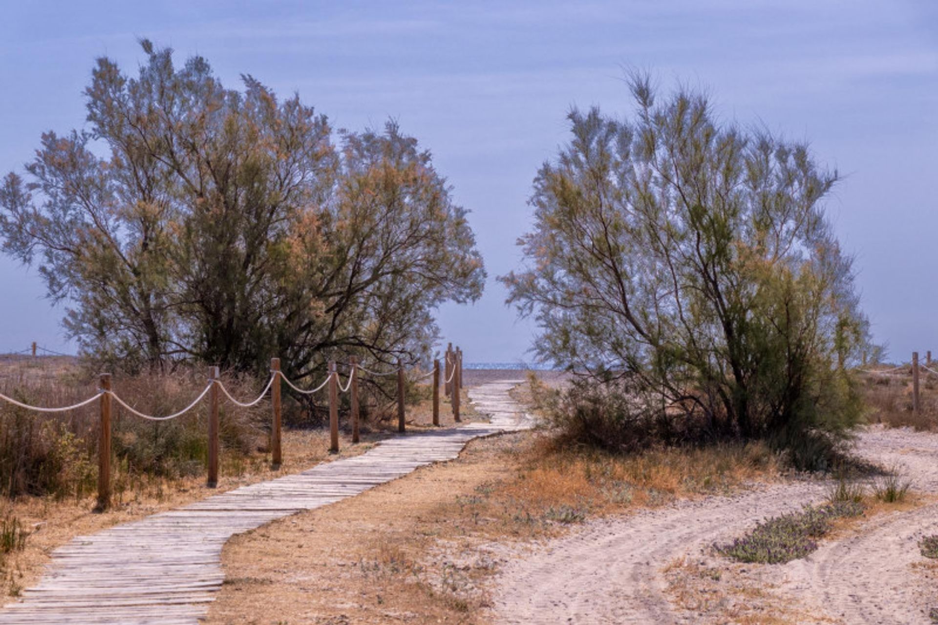 其他 在 , Comunidad Valenciana 12329734