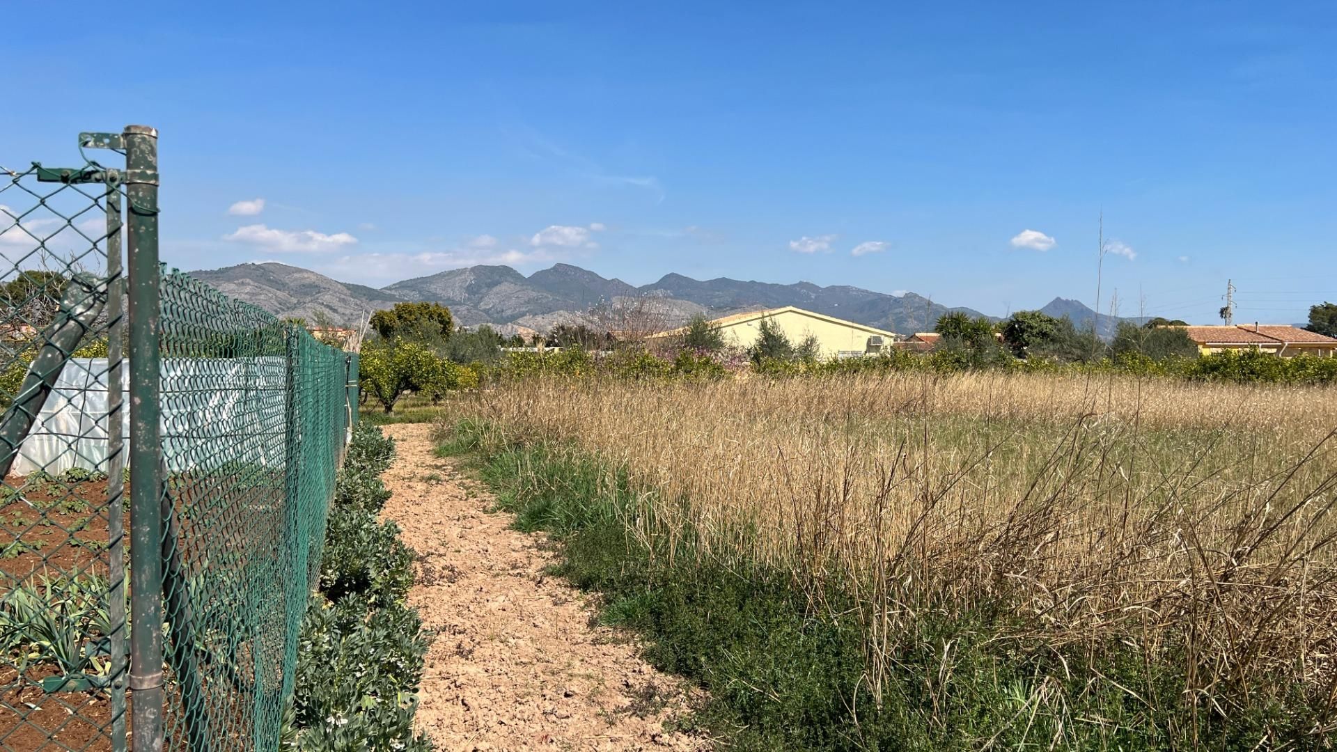 Inny w Castellón de la Plana, Valencian Community 12329746