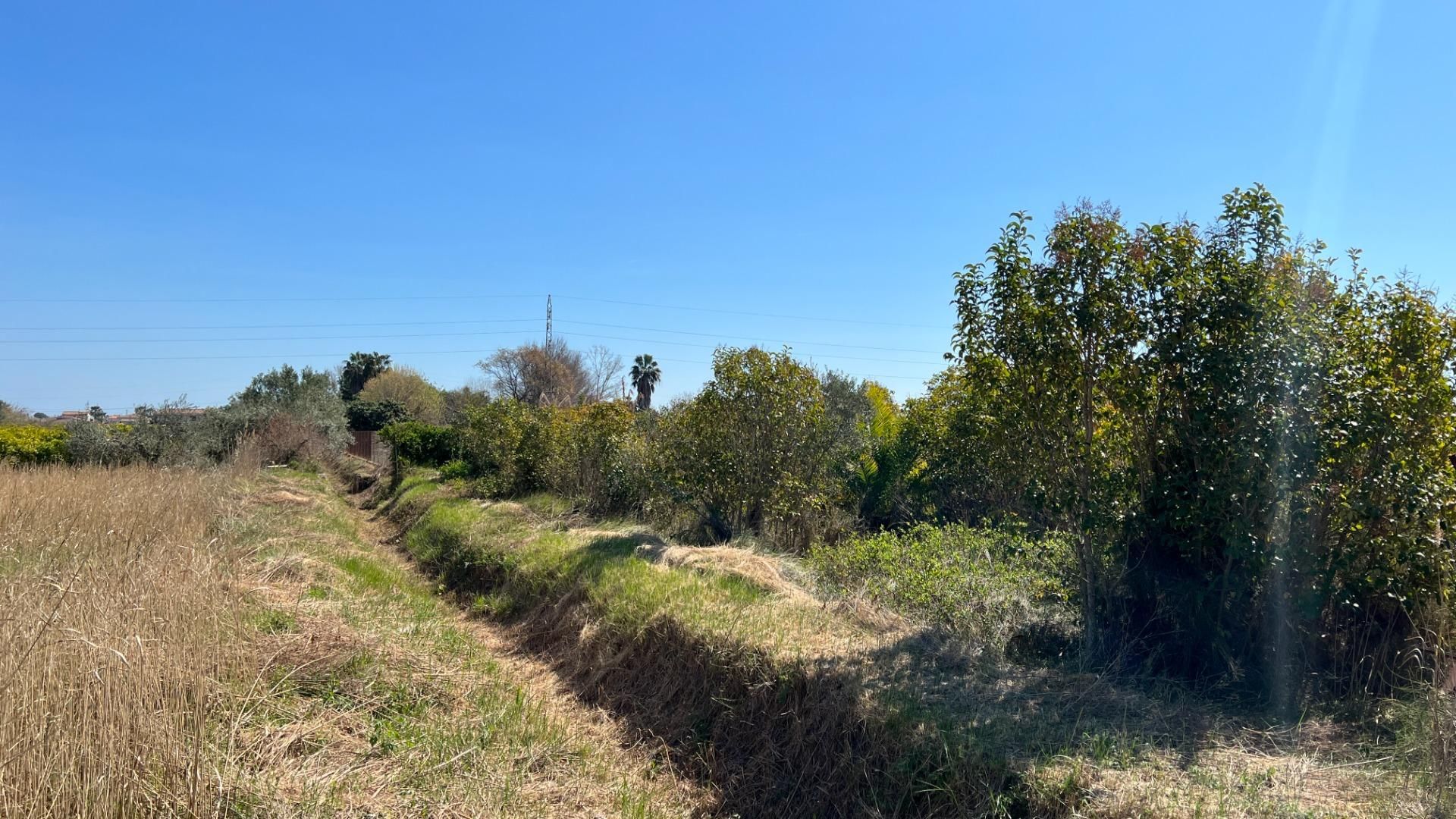 Inny w Castellón de la Plana, Valencian Community 12329746