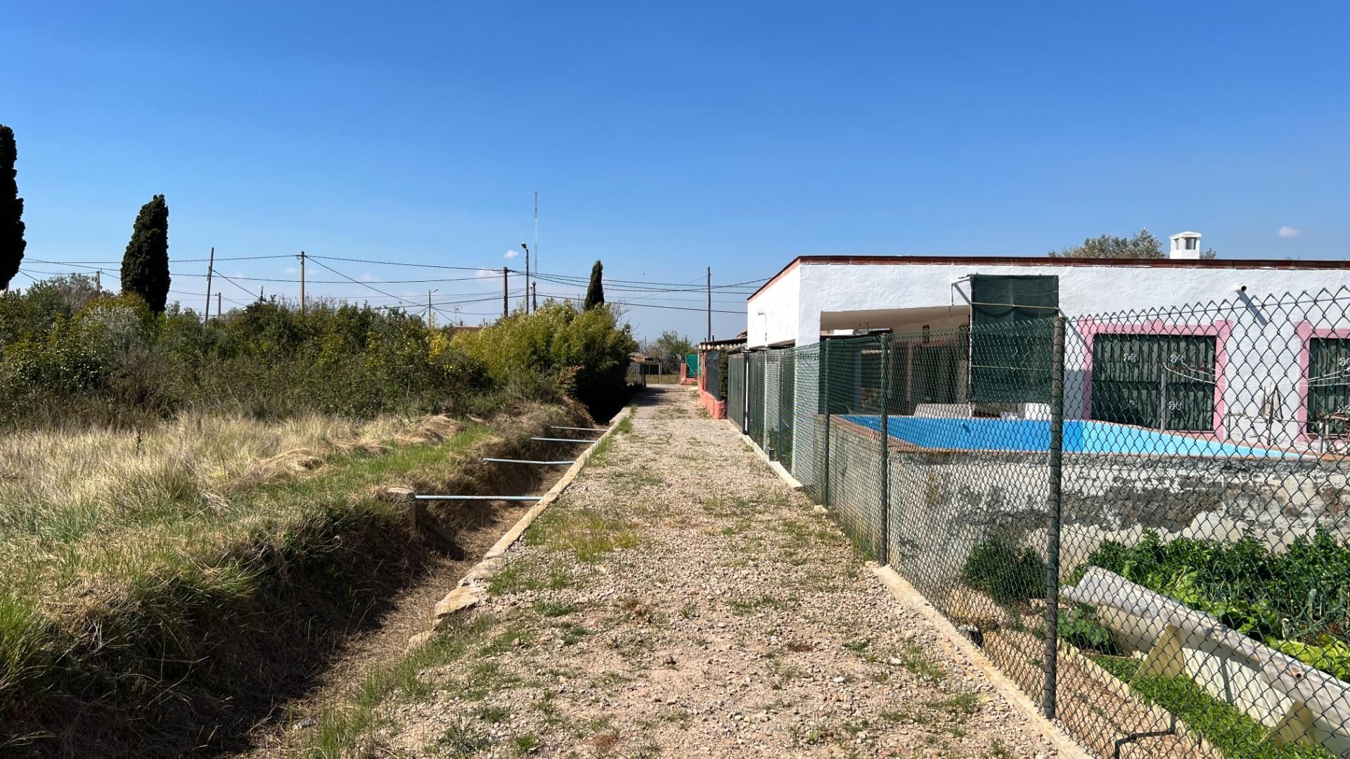 Αλλα σε Castellón de la Plana, Valencian Community 12329746